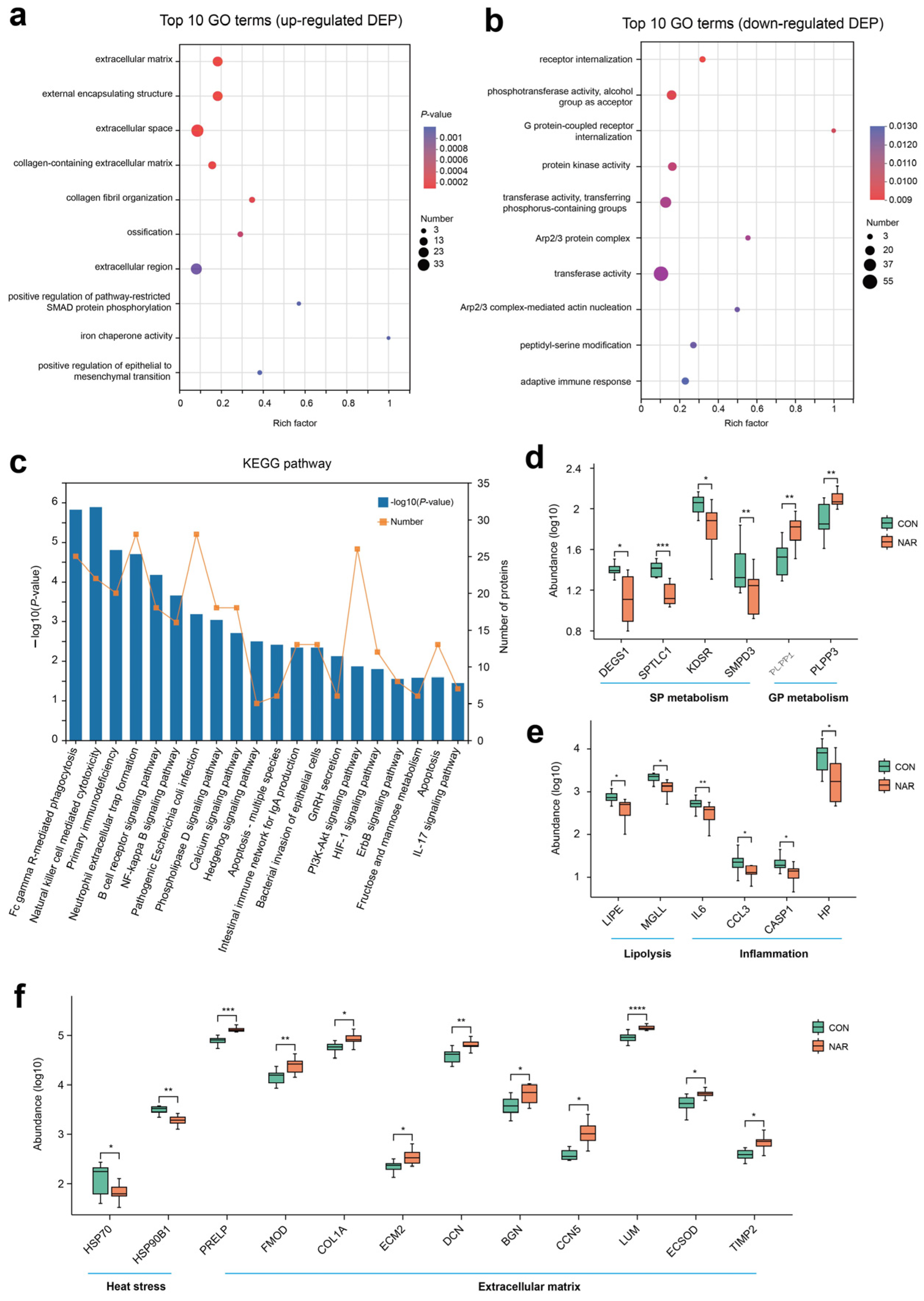Antioxidants 13 00638 g005