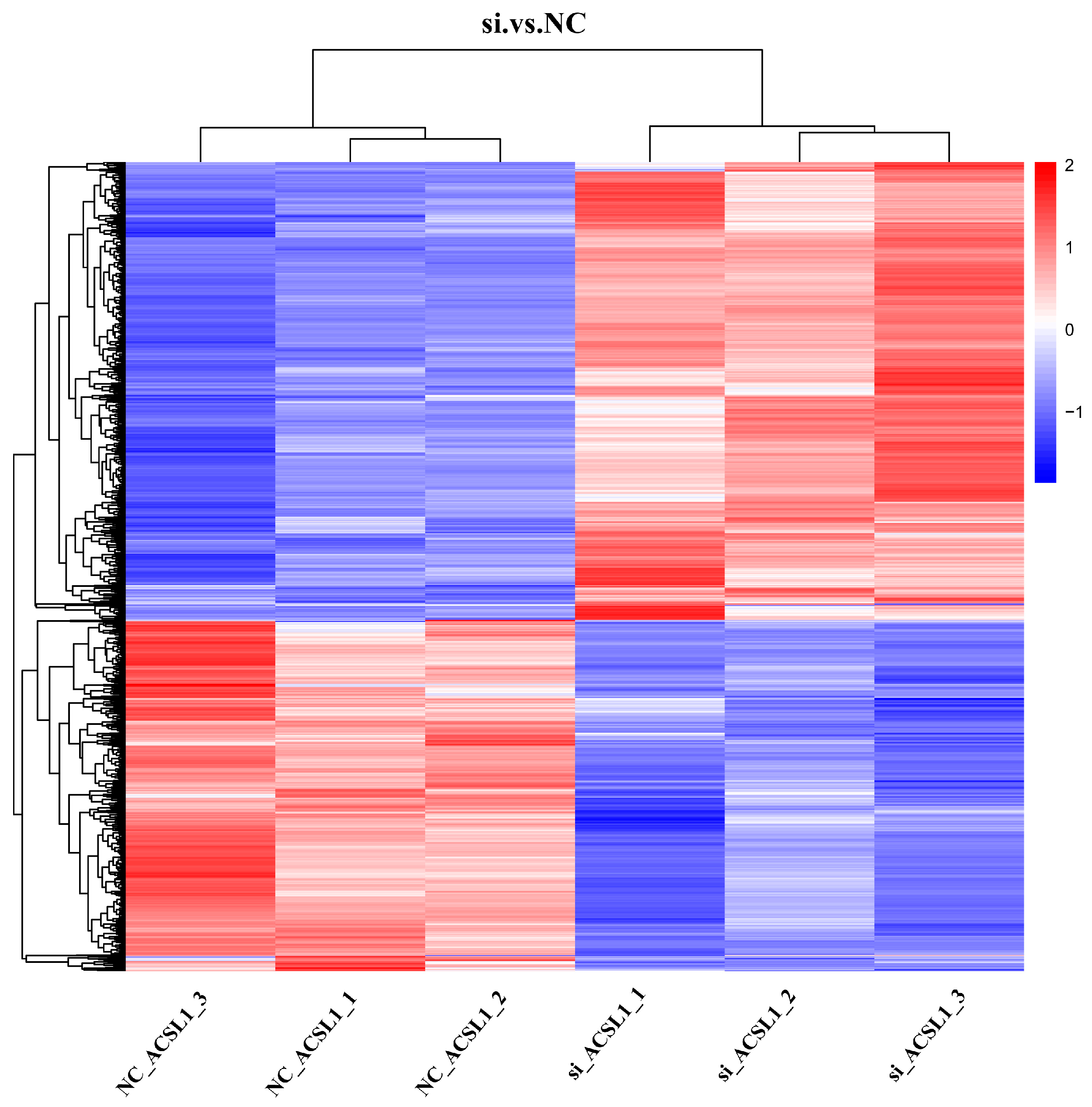 Antioxidants 13 00641 g004