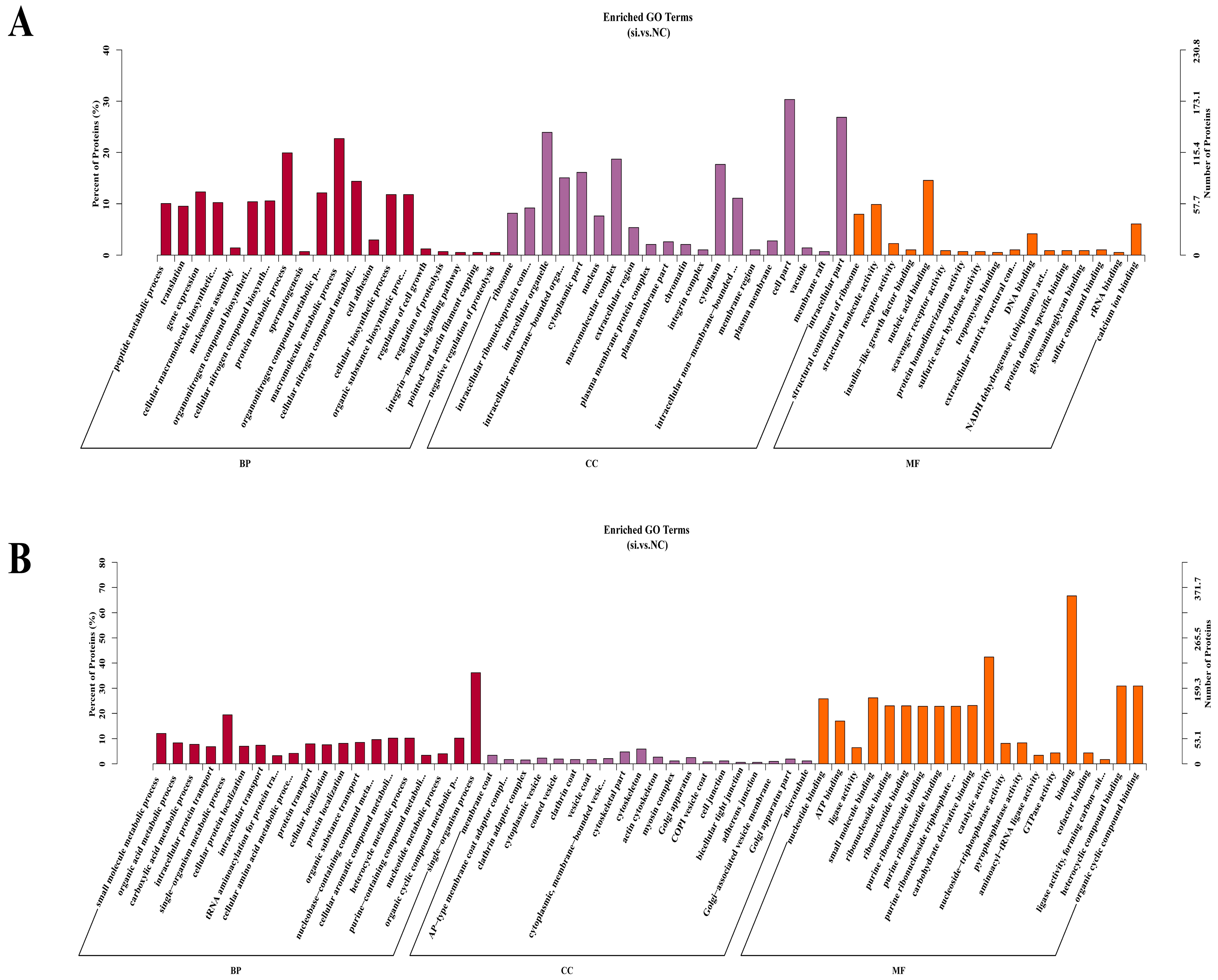 Antioxidants 13 00641 g005