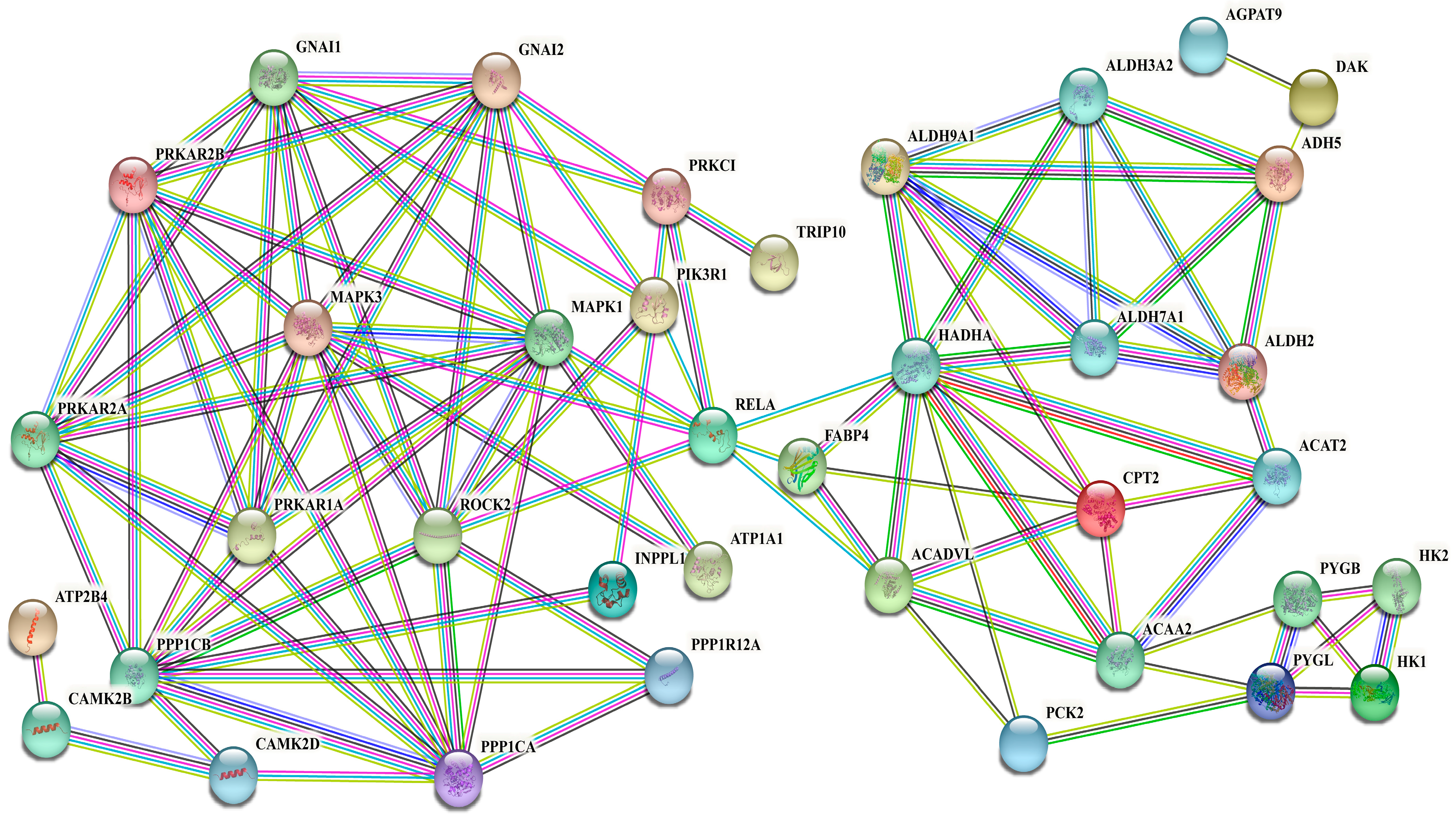 Antioxidants 13 00641 g007