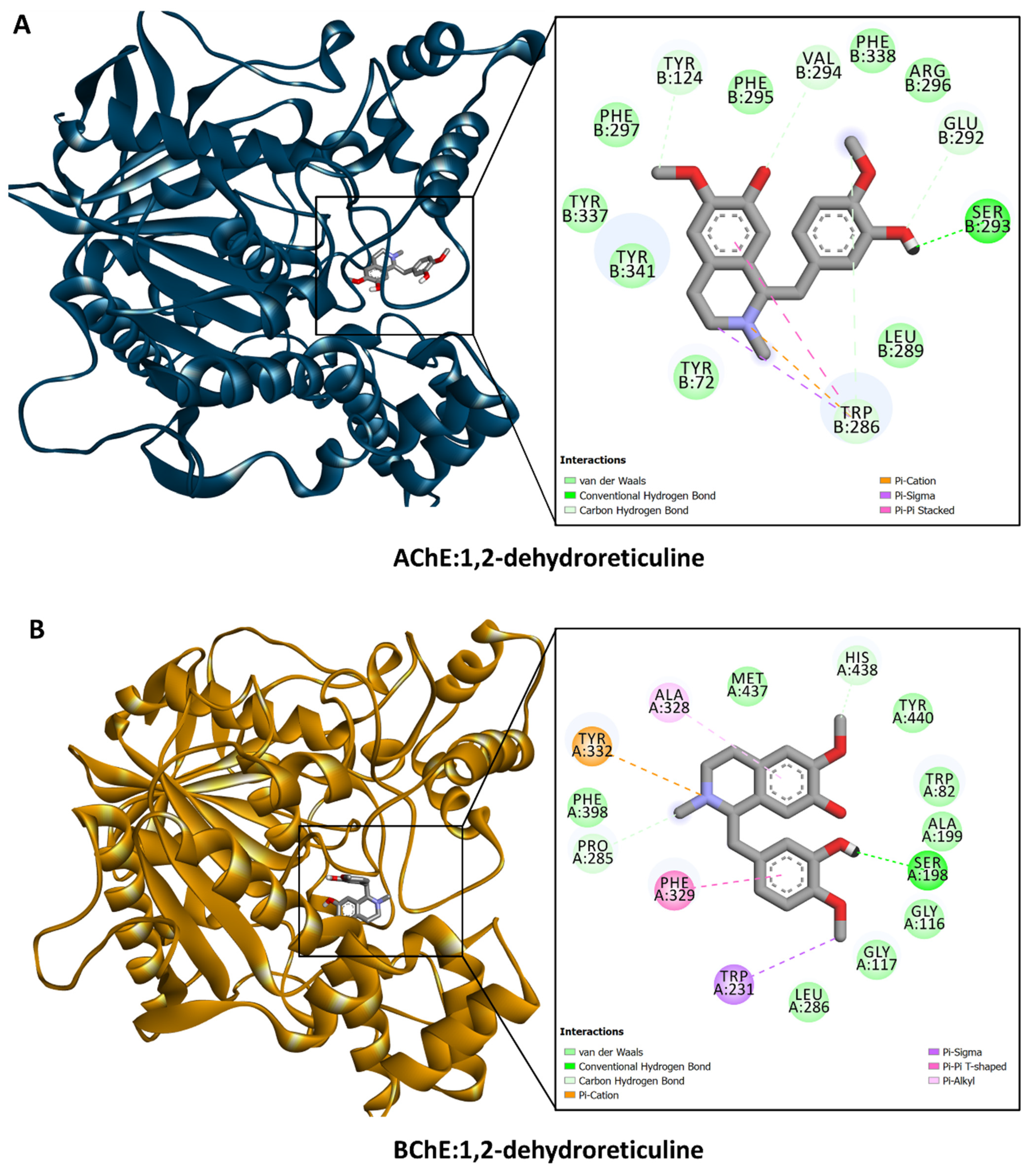 Antioxidants 13 00643 g003