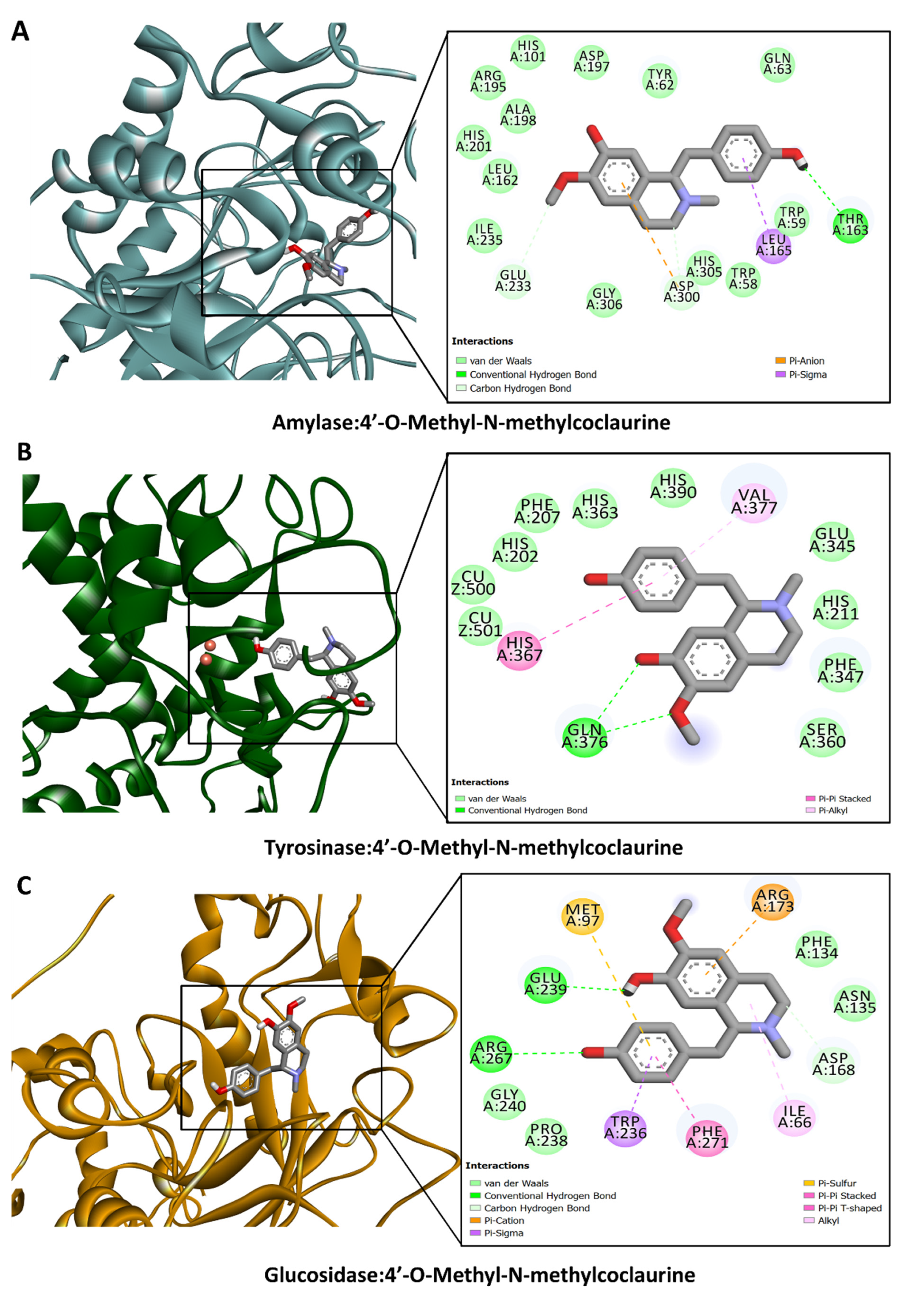 Antioxidants 13 00643 g004
