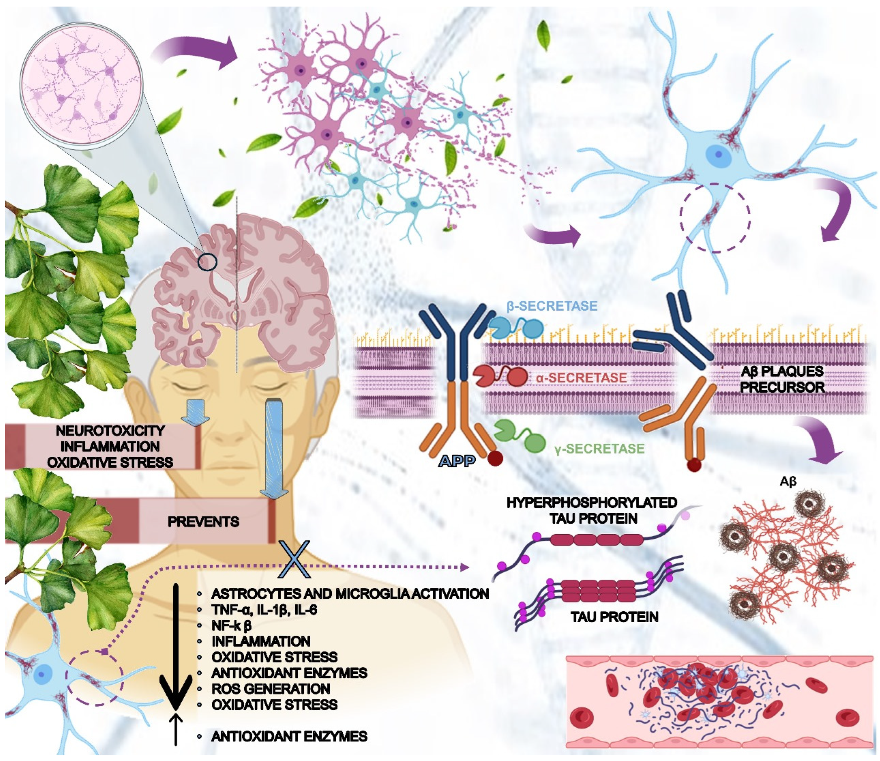 Antioxidants 13 00651 g006