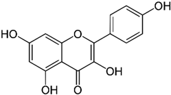 Antioxidants 13 00651 i006