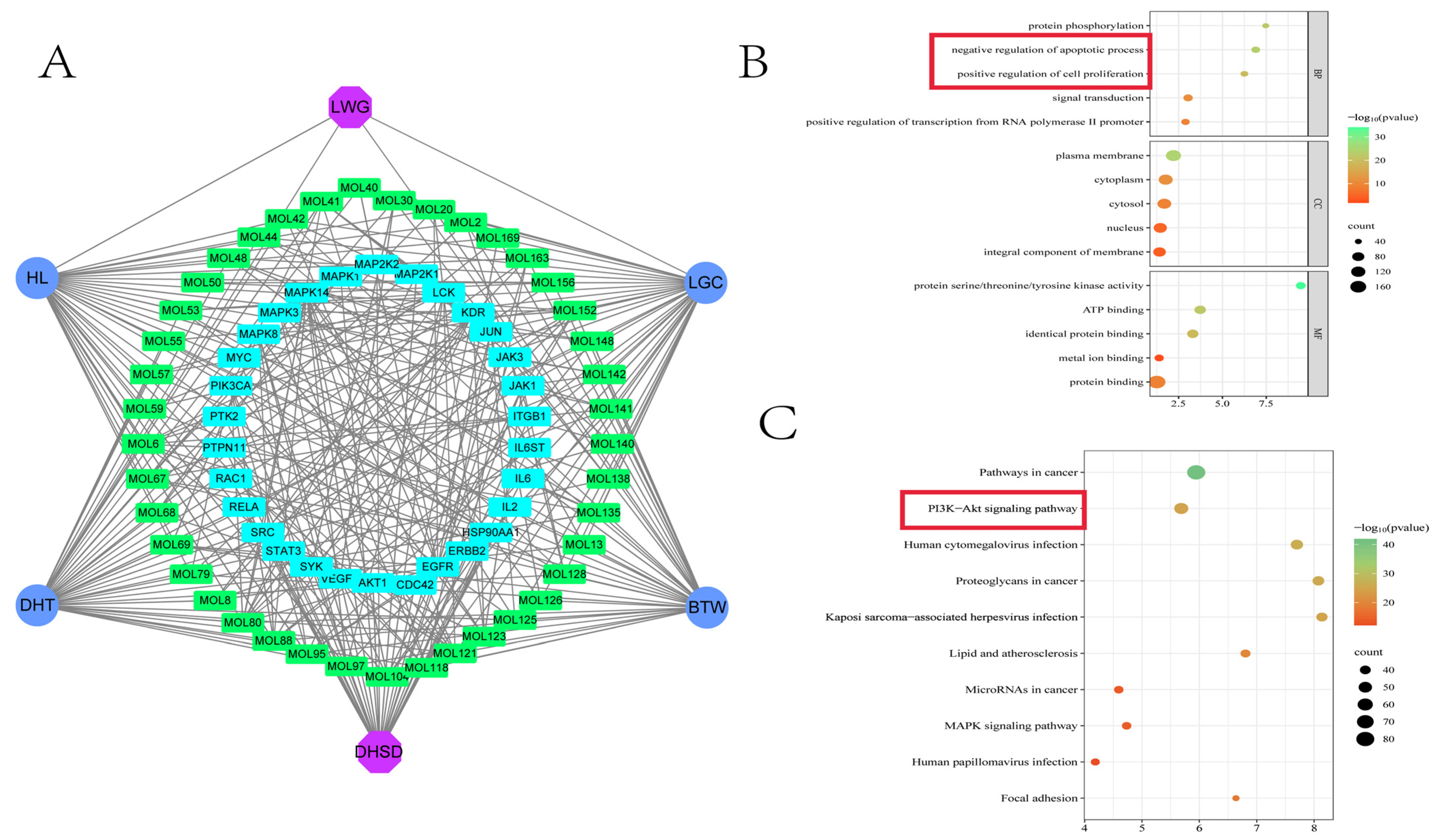 Antioxidants 13 00661 g002