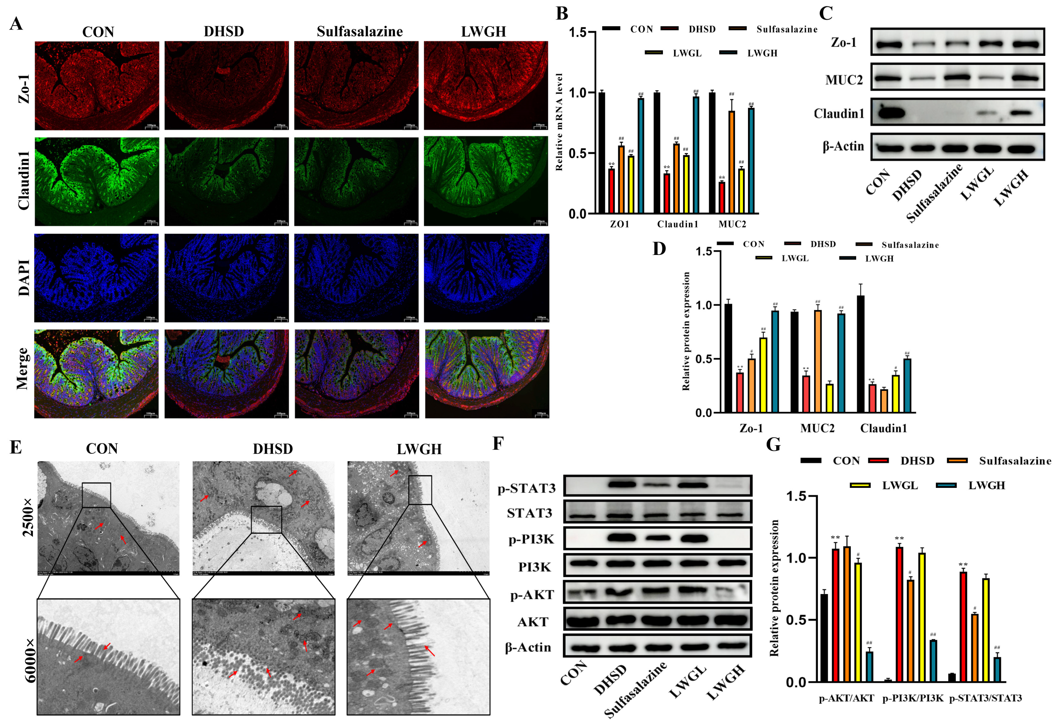 Antioxidants 13 00661 g006