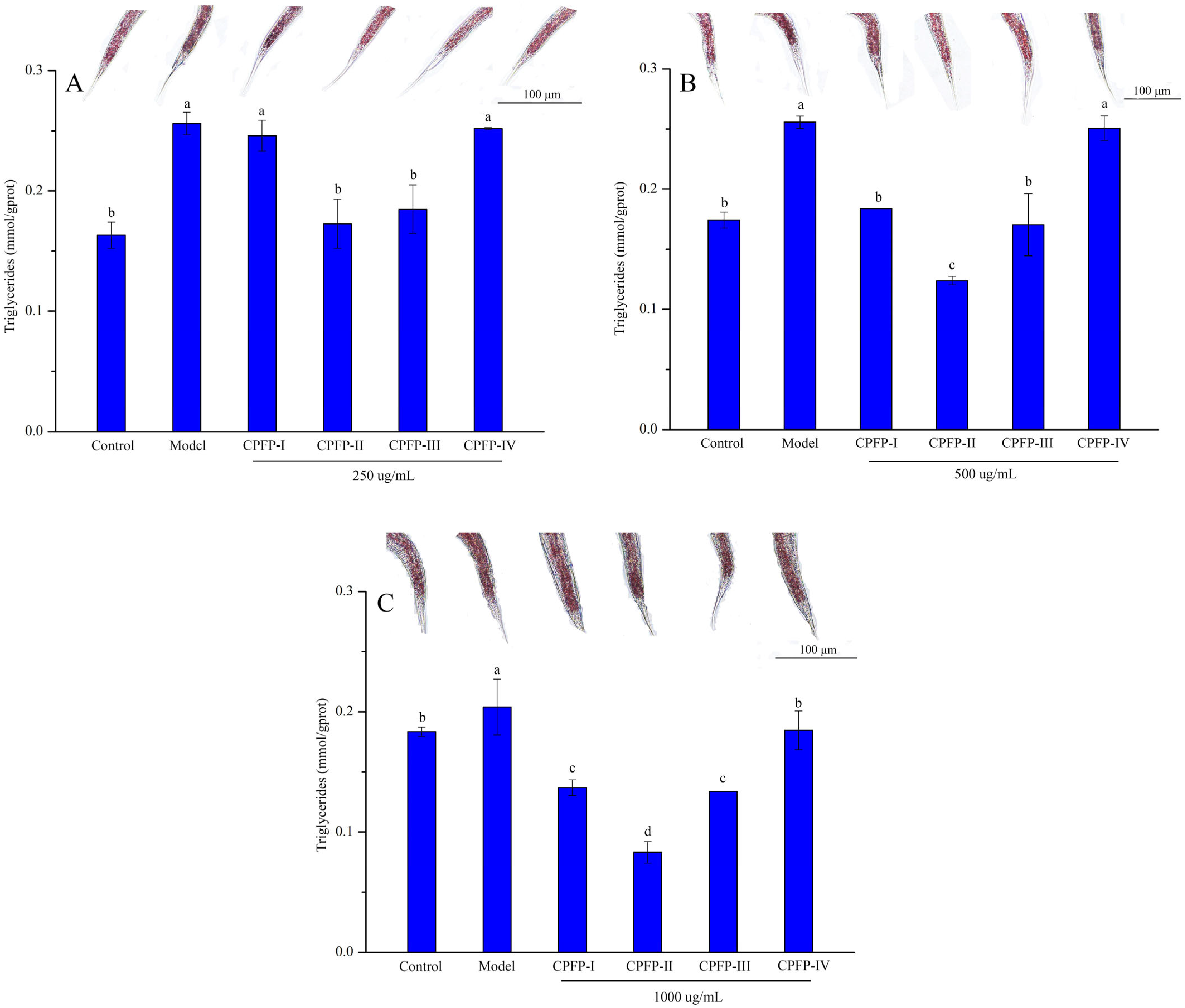 Antioxidants 13 00662 g004