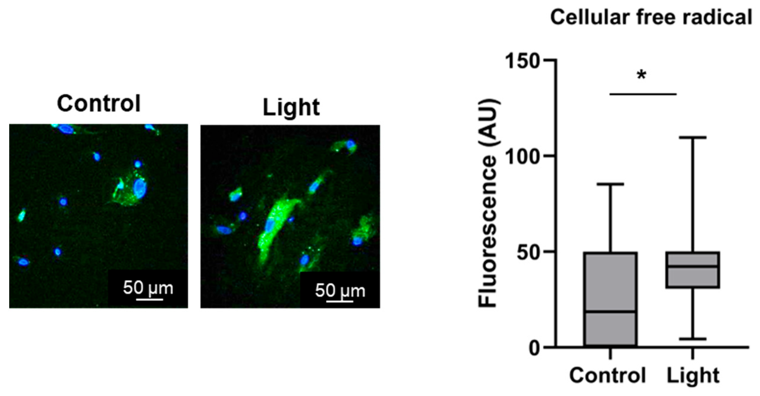 Antioxidants 13 00668 g003