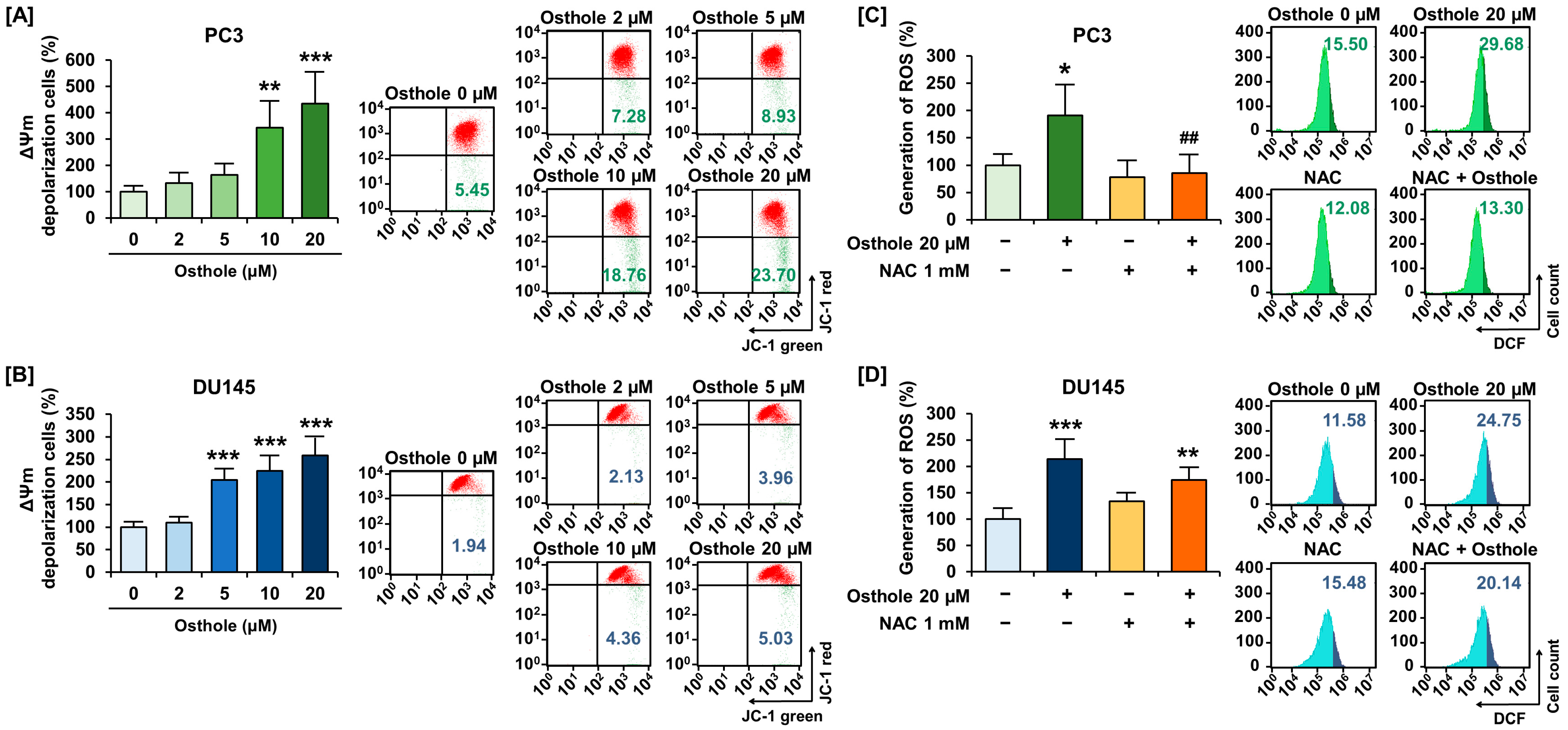 Antioxidants 13 00669 g002