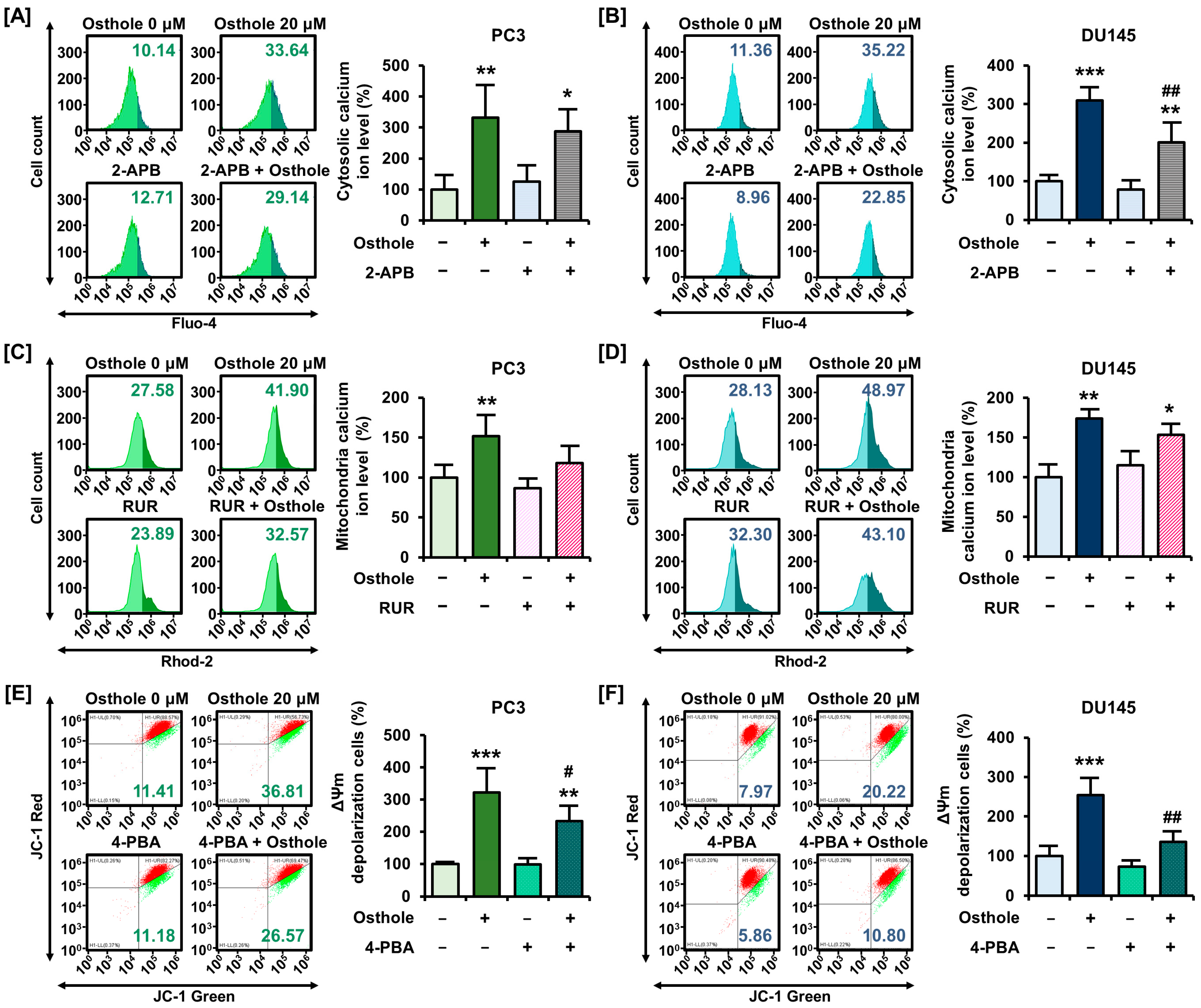 Antioxidants 13 00669 g004a