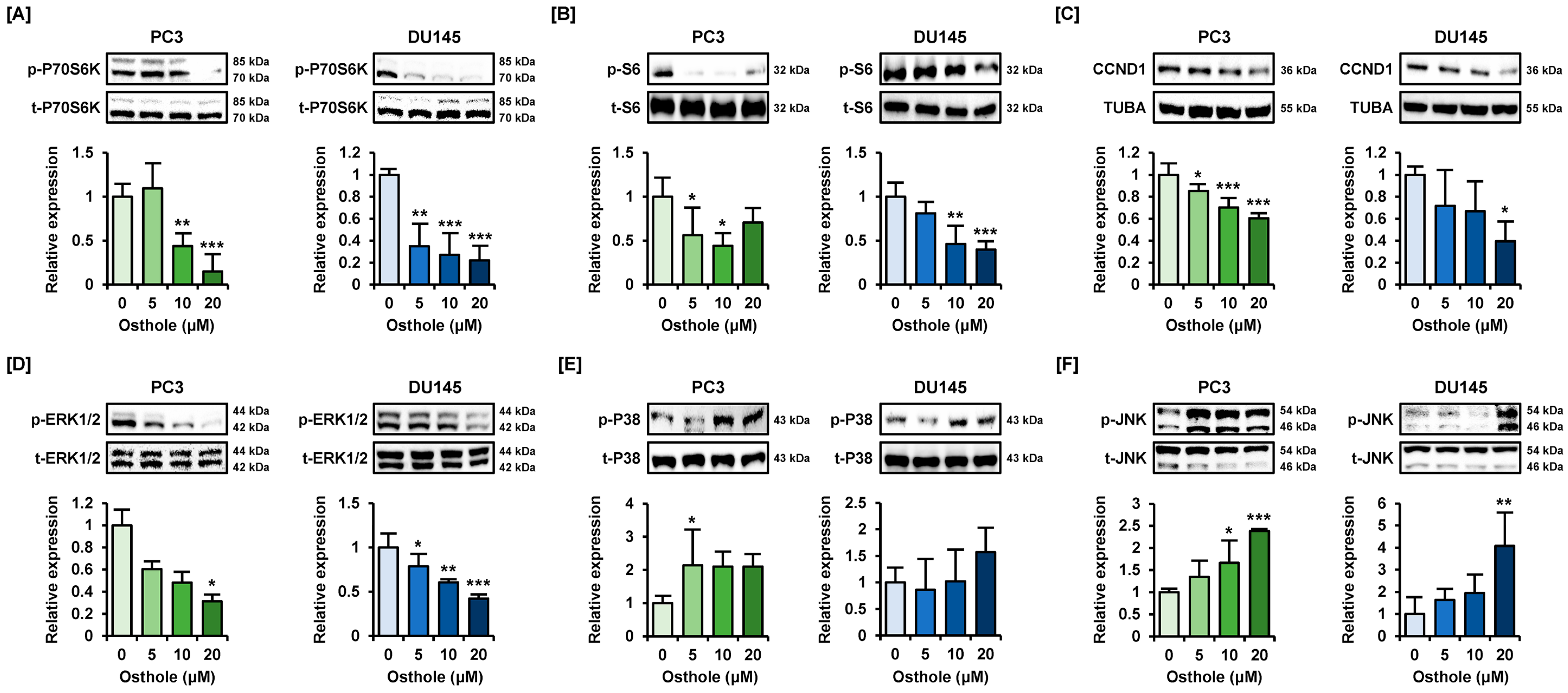 Antioxidants 13 00669 g007