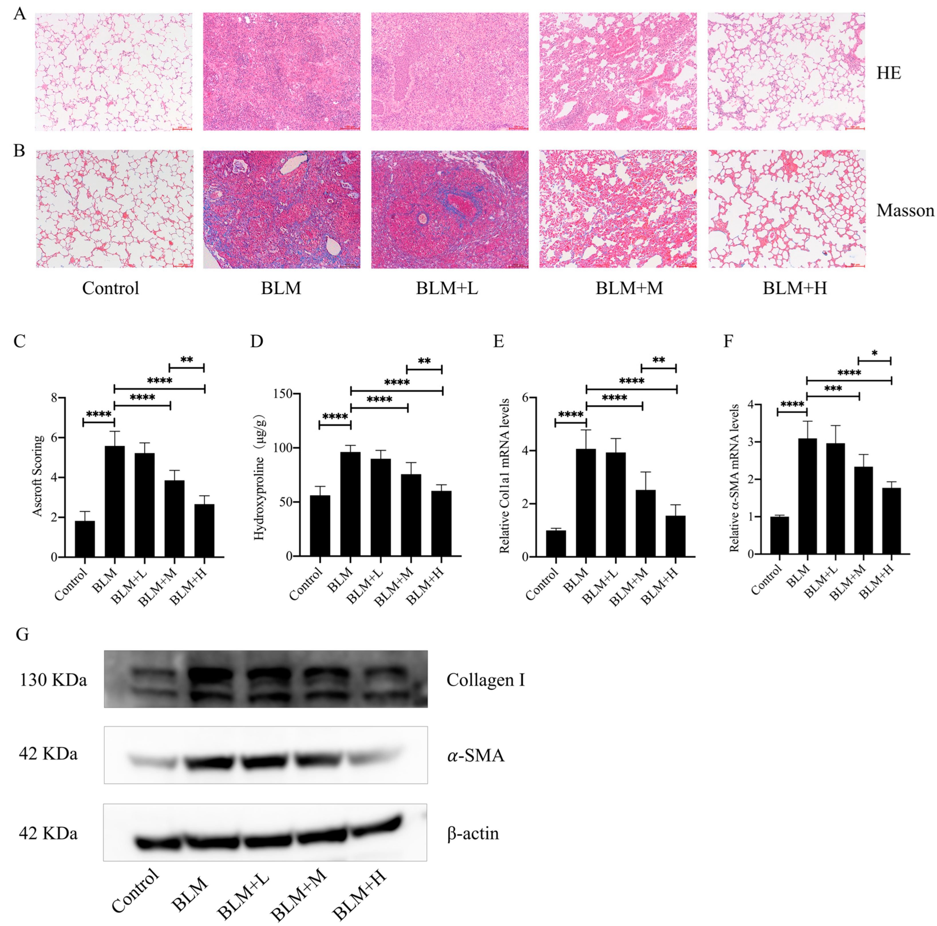 Antioxidants 13 00675 g001