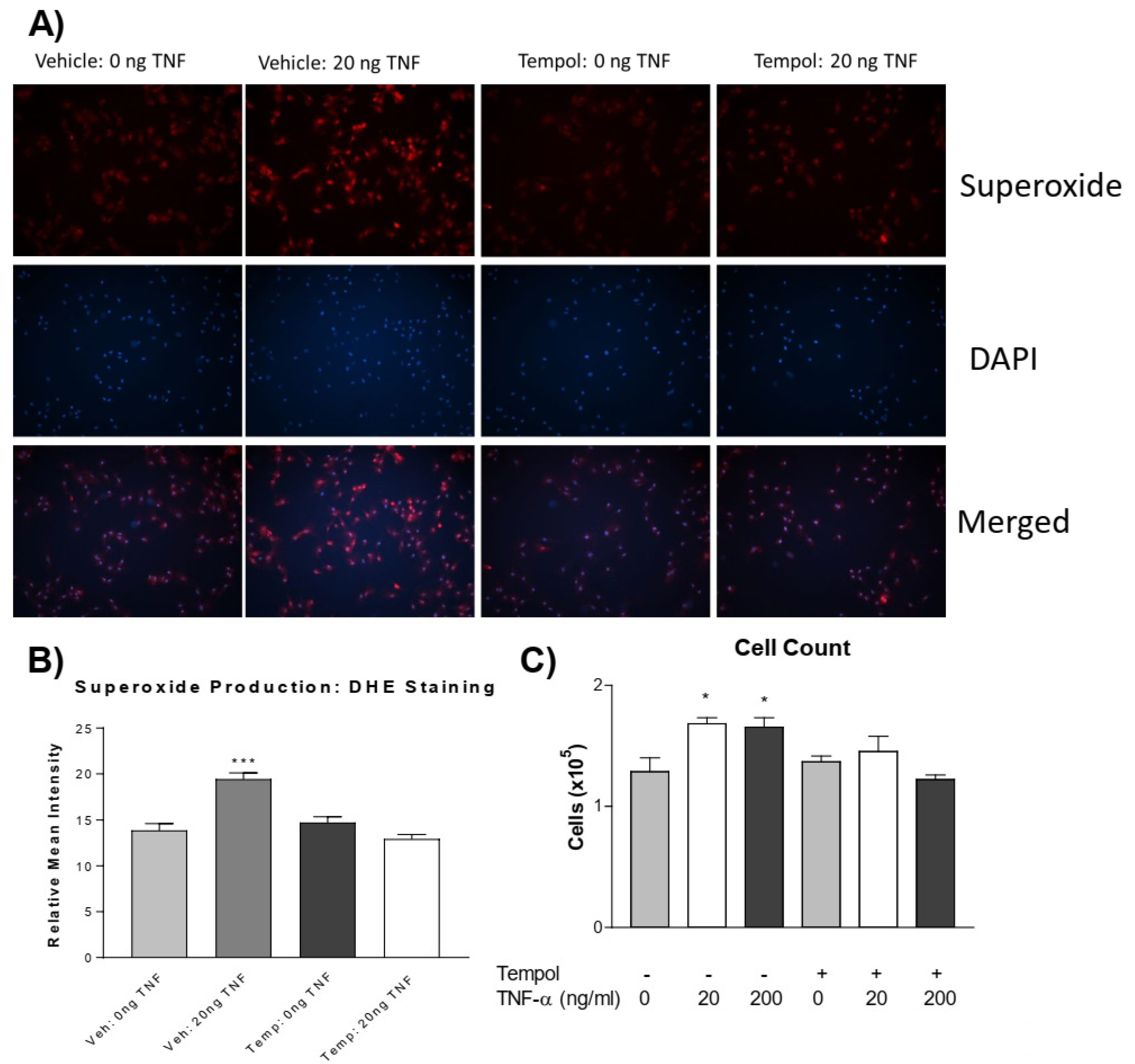 Antioxidants 13 00677 g003