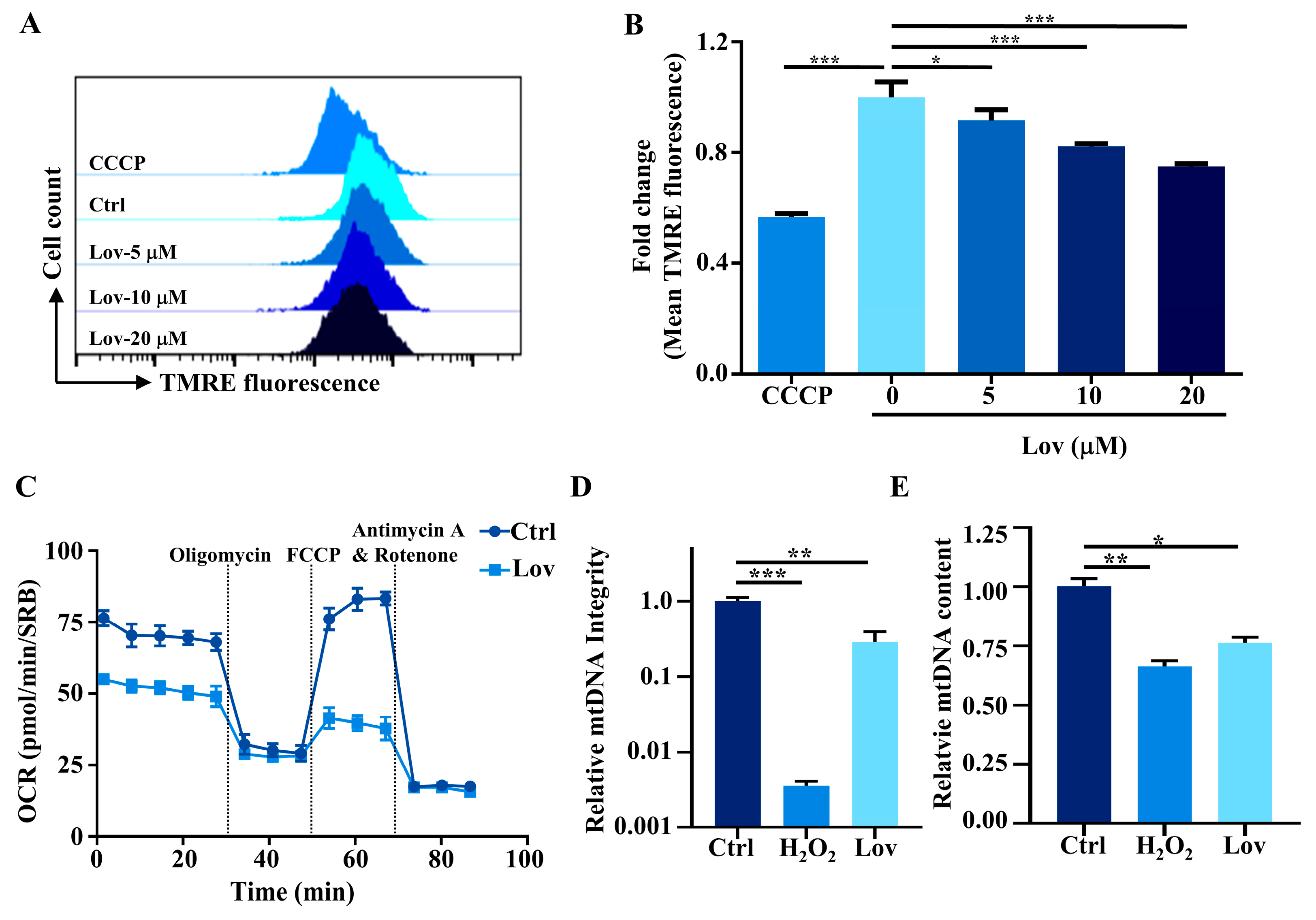 Antioxidants 13 00679 g001