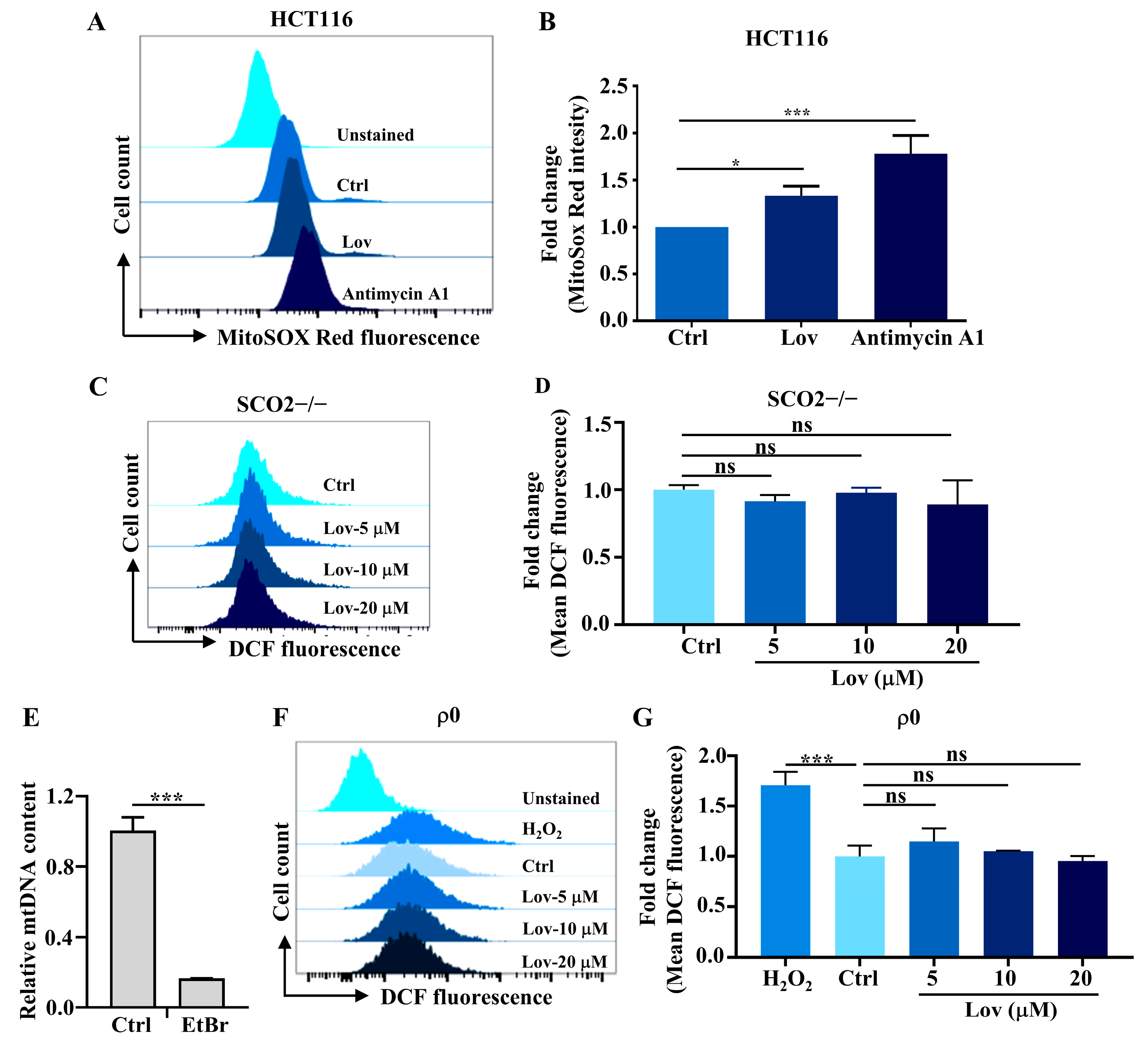 Antioxidants 13 00679 g003