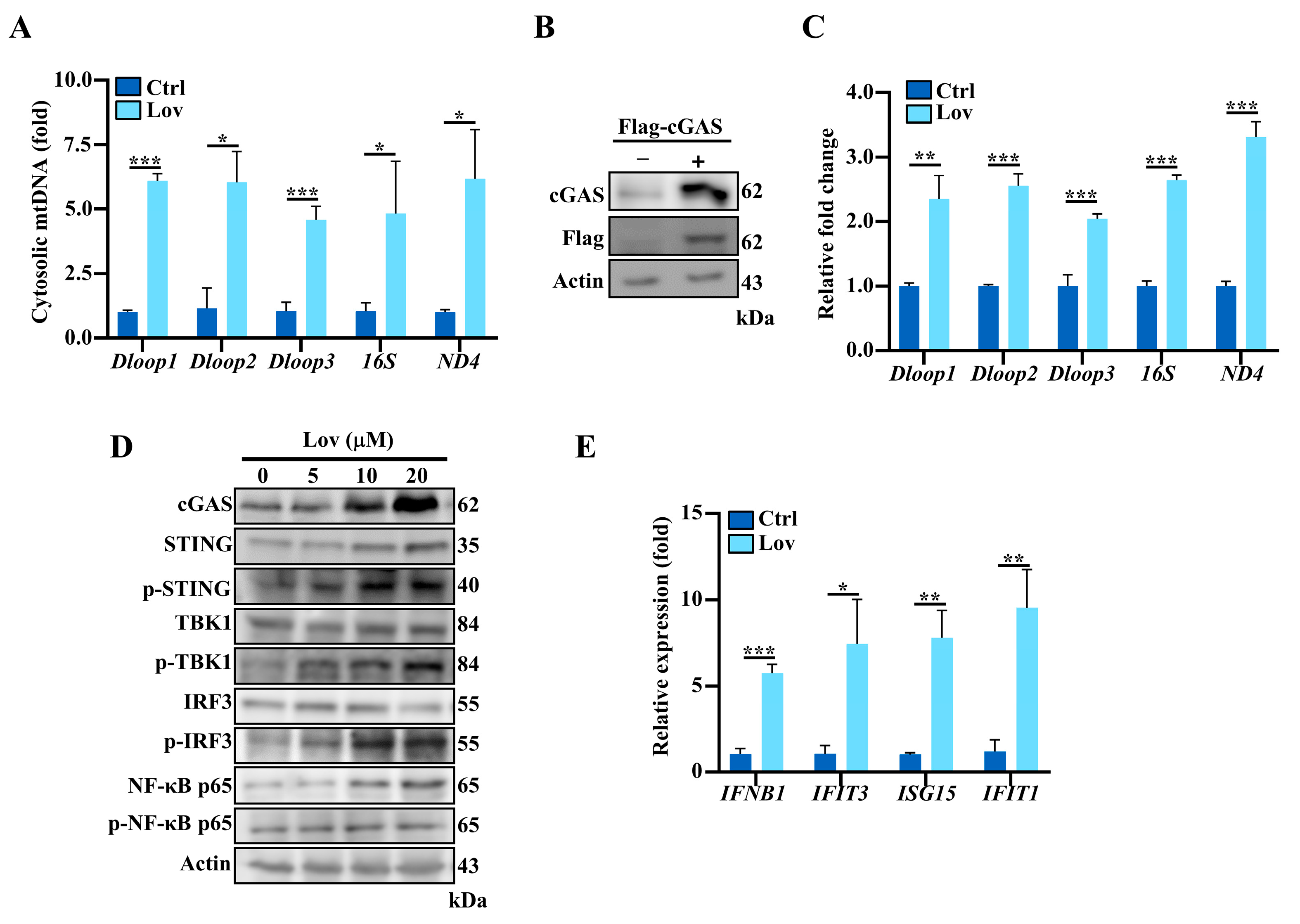 Antioxidants 13 00679 g005