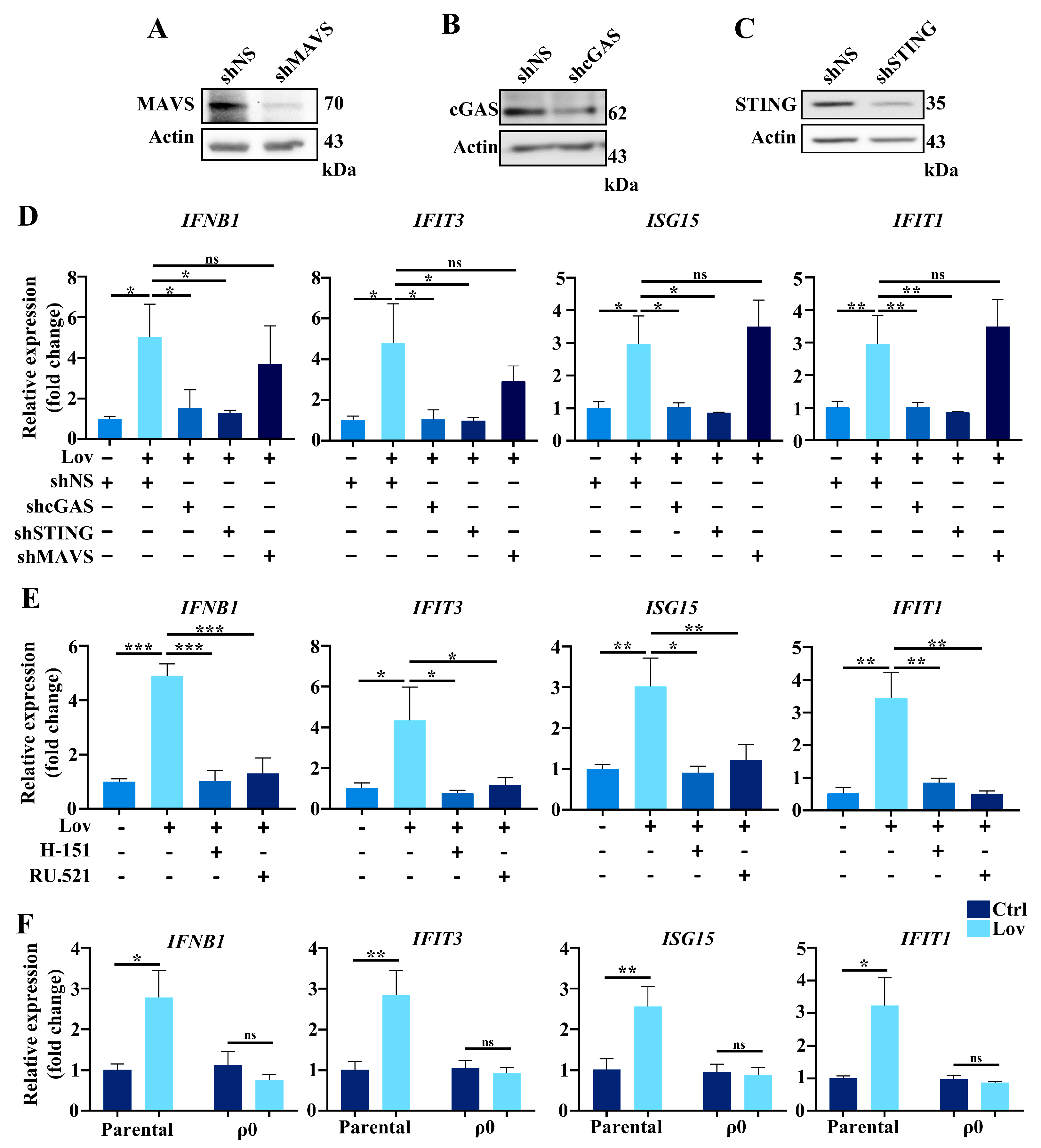Antioxidants 13 00679 g006