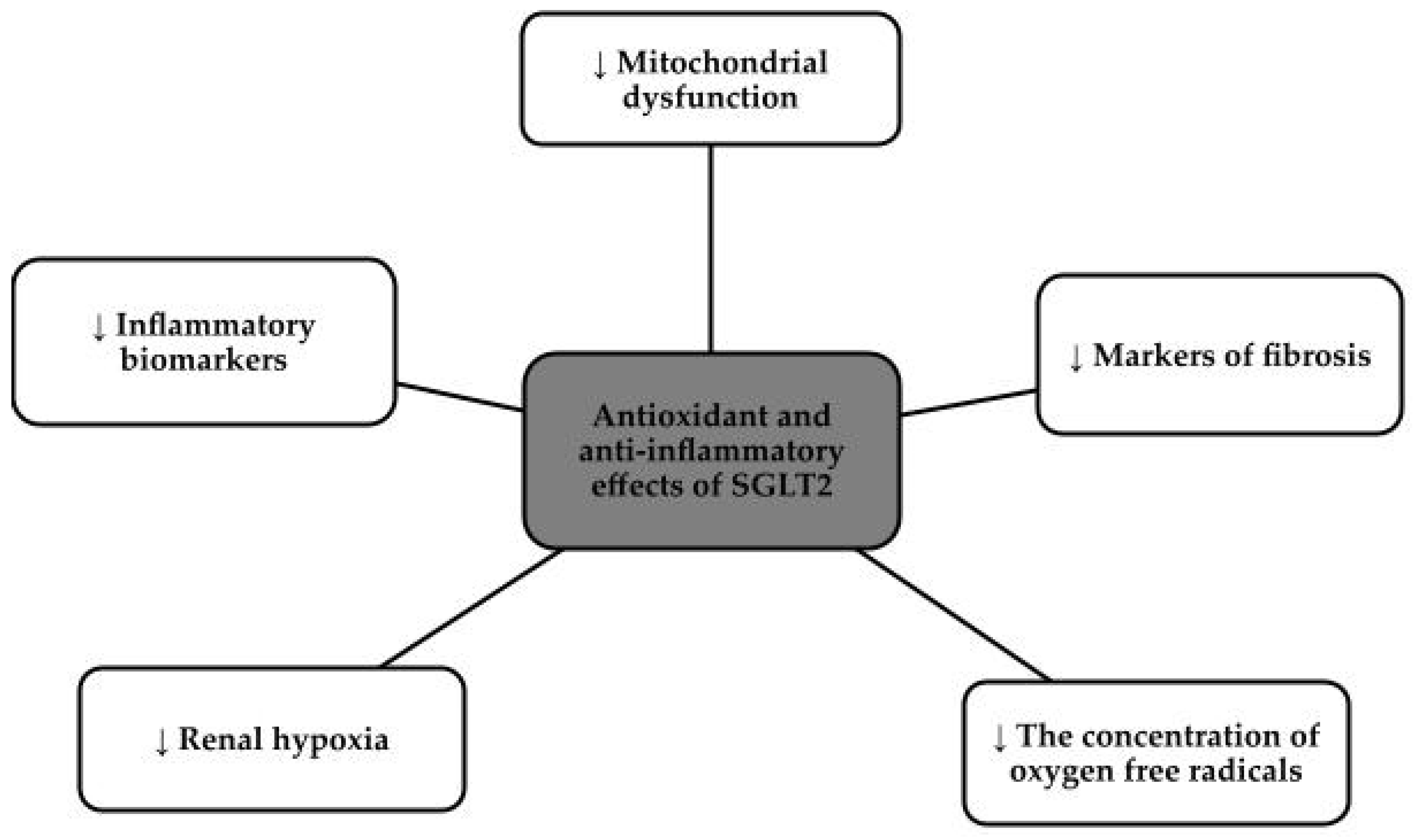 Antioxidants 13 00687 g003