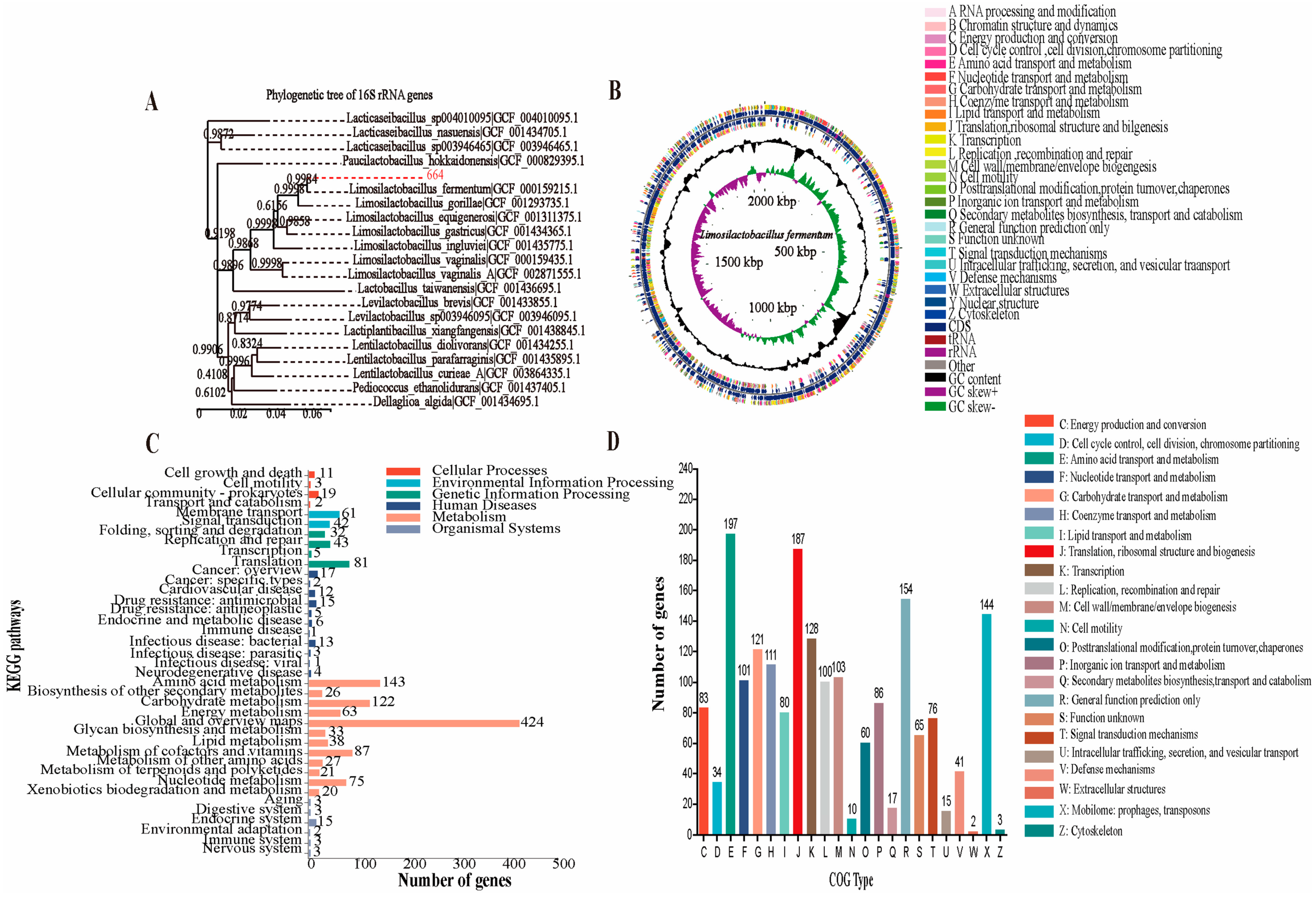 Antioxidants 13 00703 g005