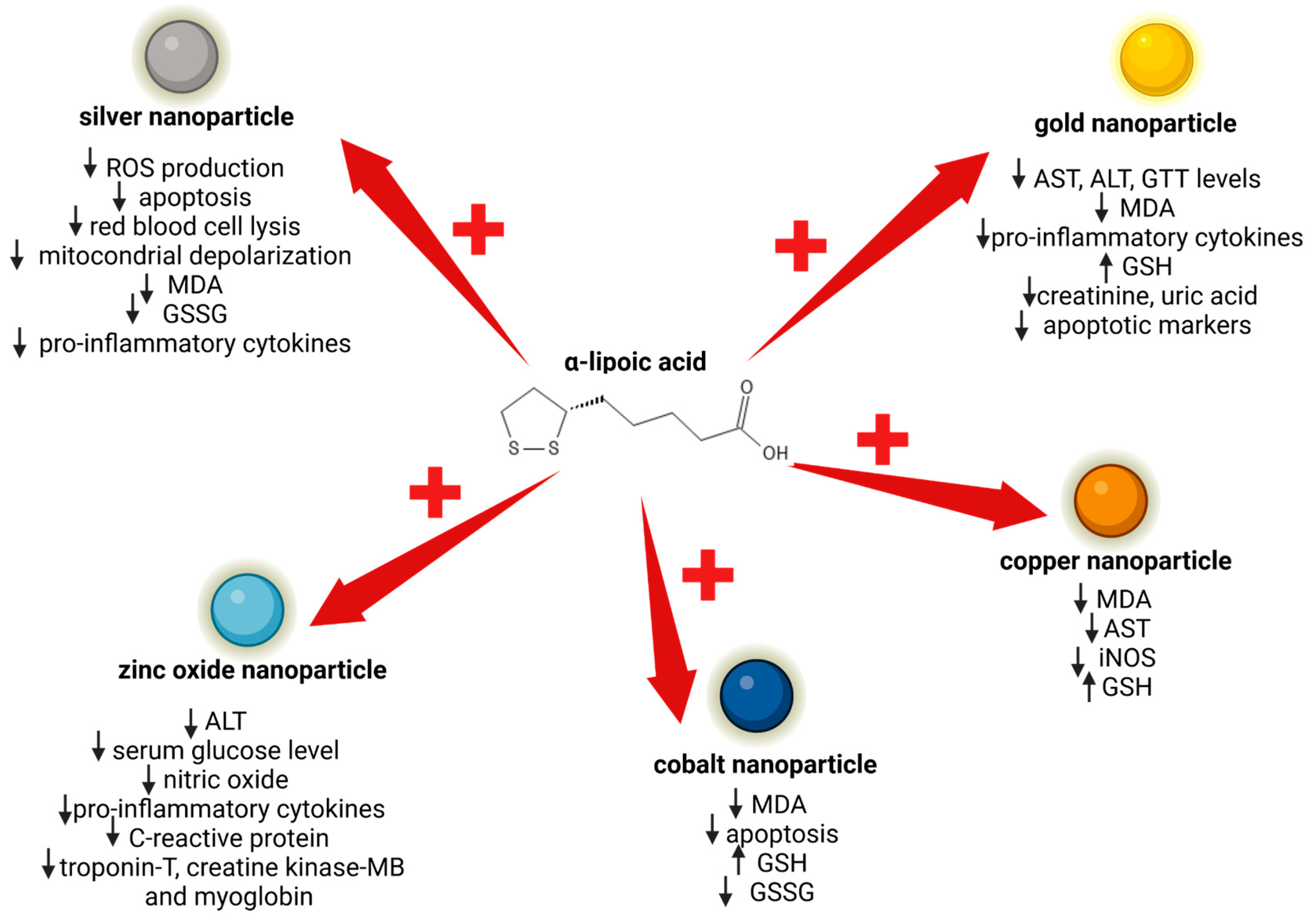 Antioxidants 13 00706 g004