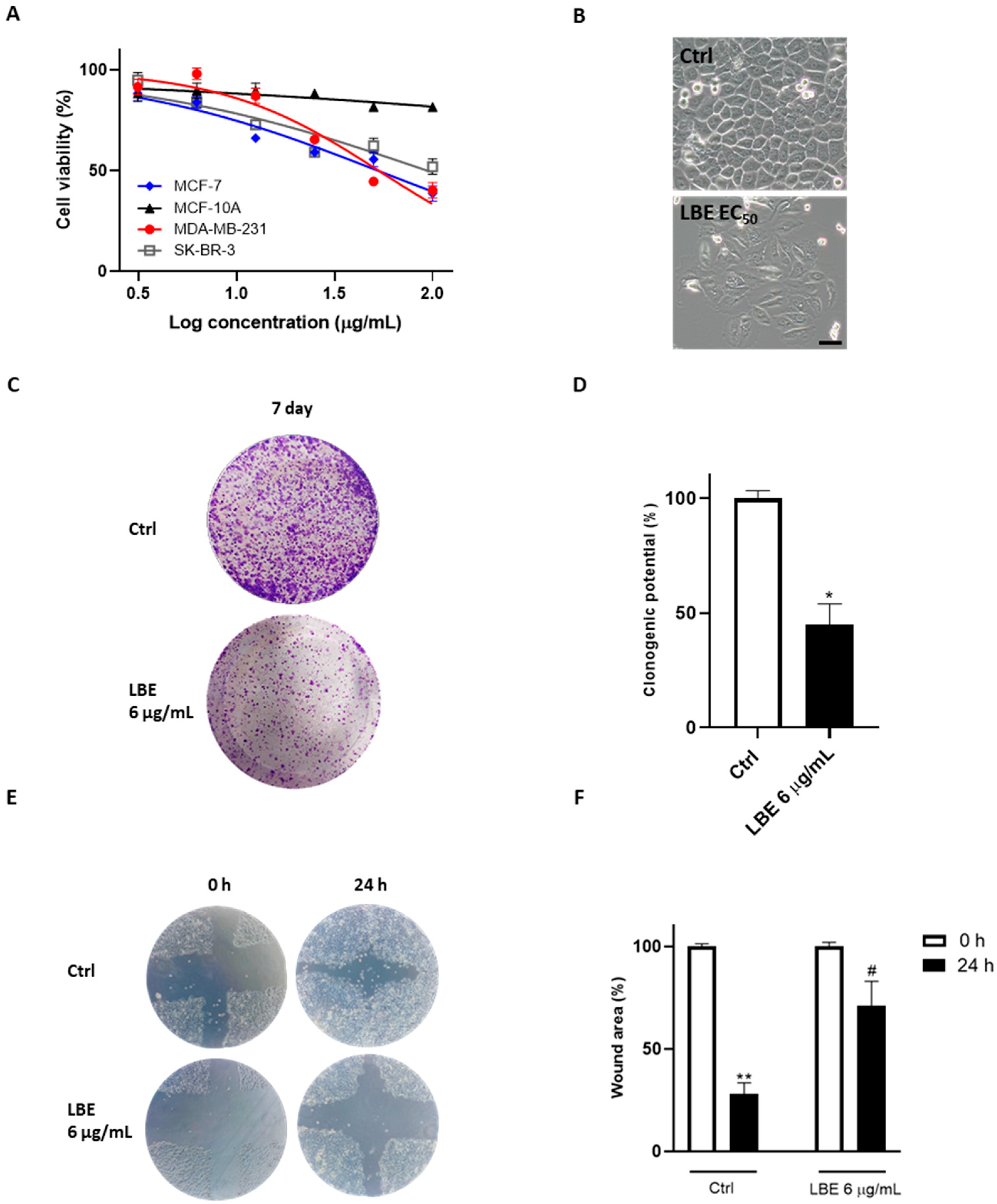 Antioxidants 13 00708 g001