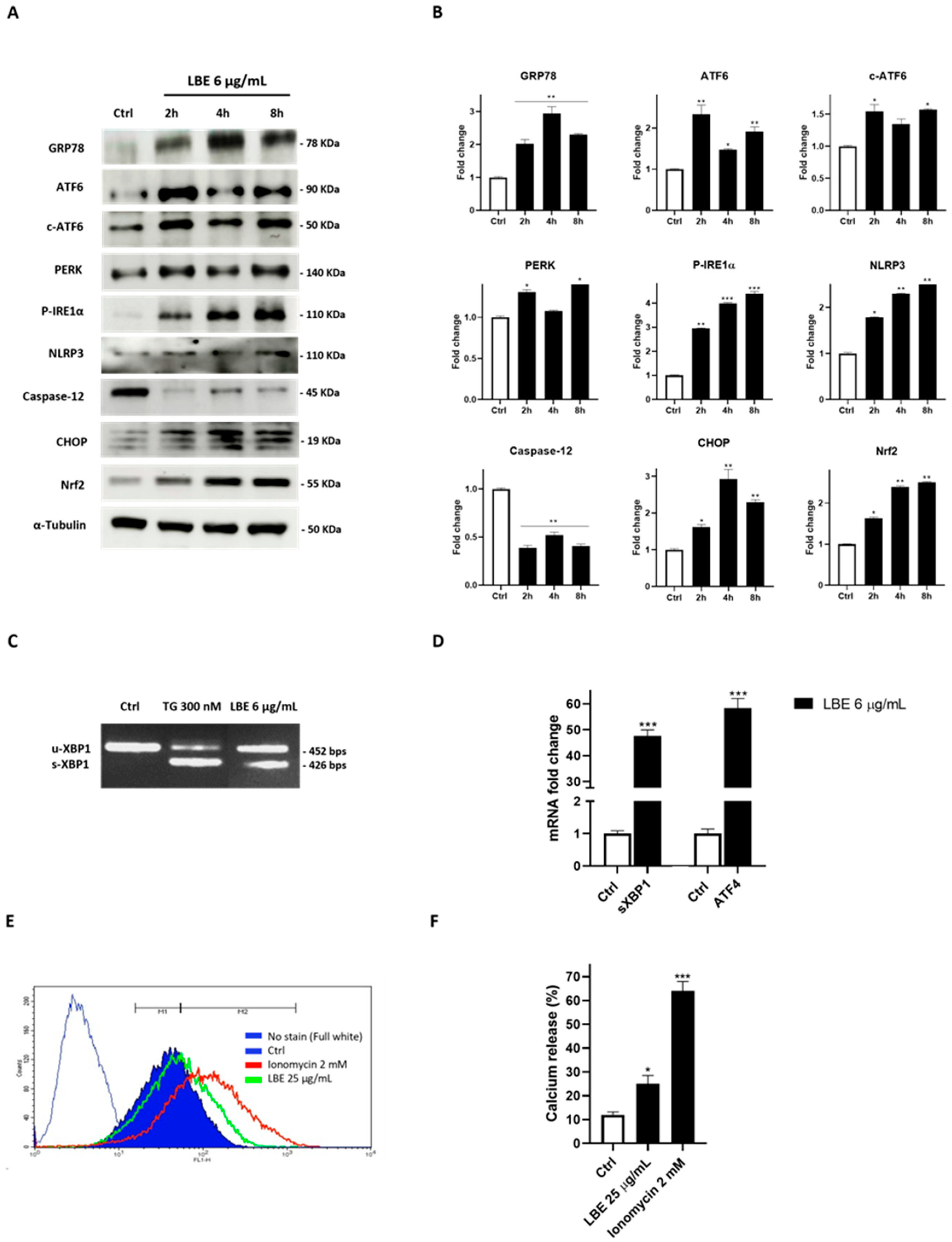 Antioxidants 13 00708 g004