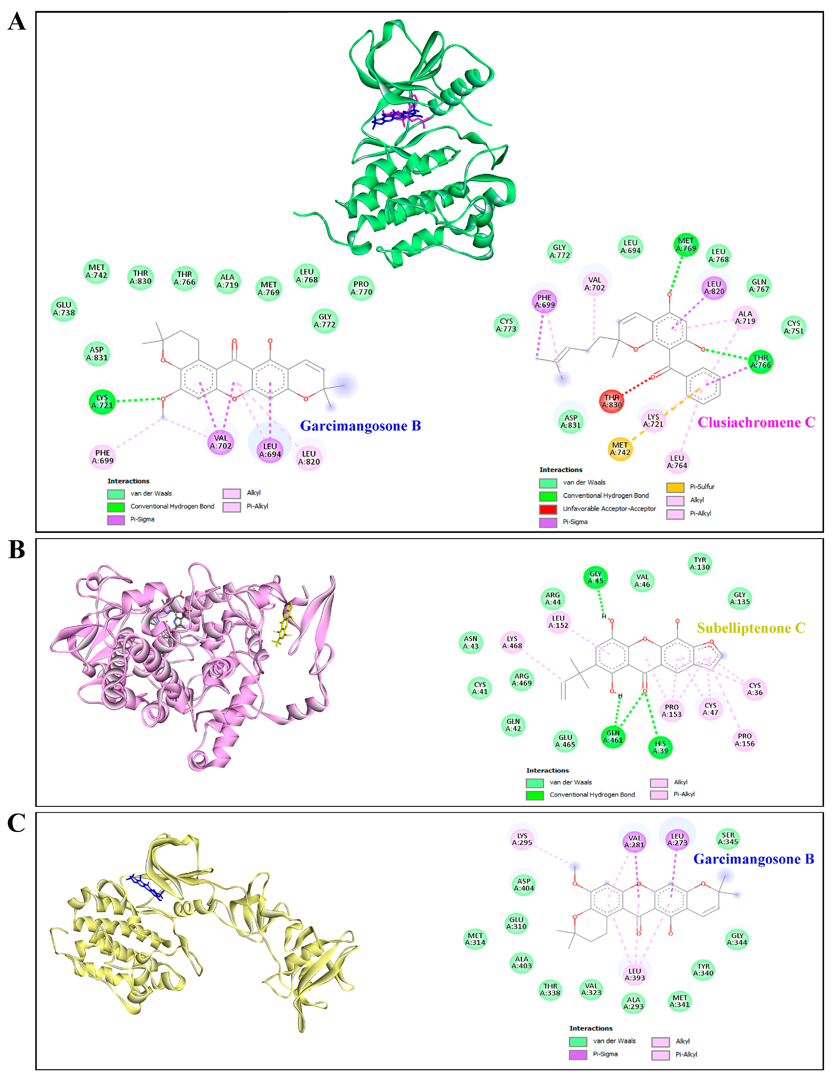 Antioxidants 13 00713 g010