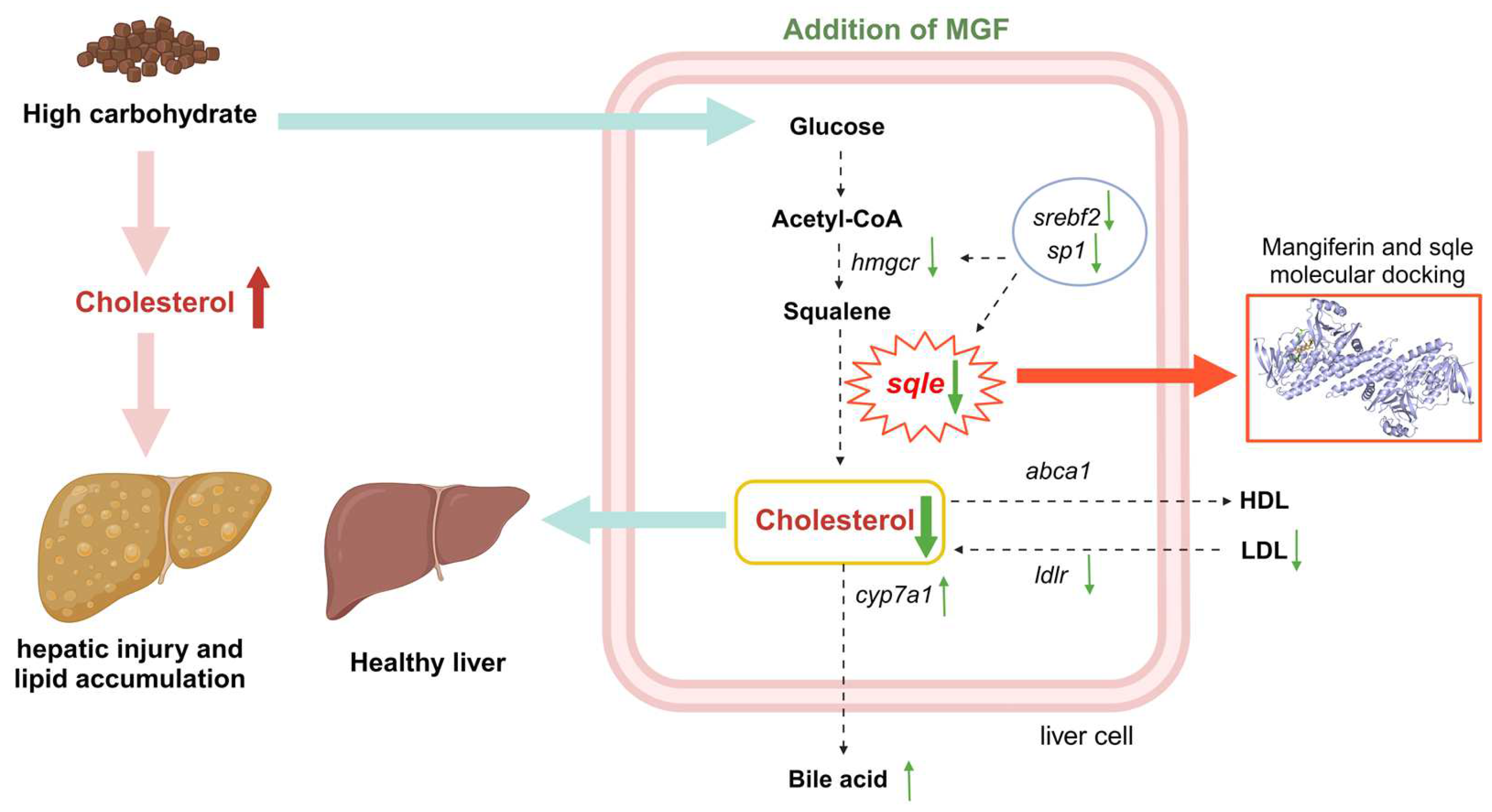 Antioxidants 13 00722 g012