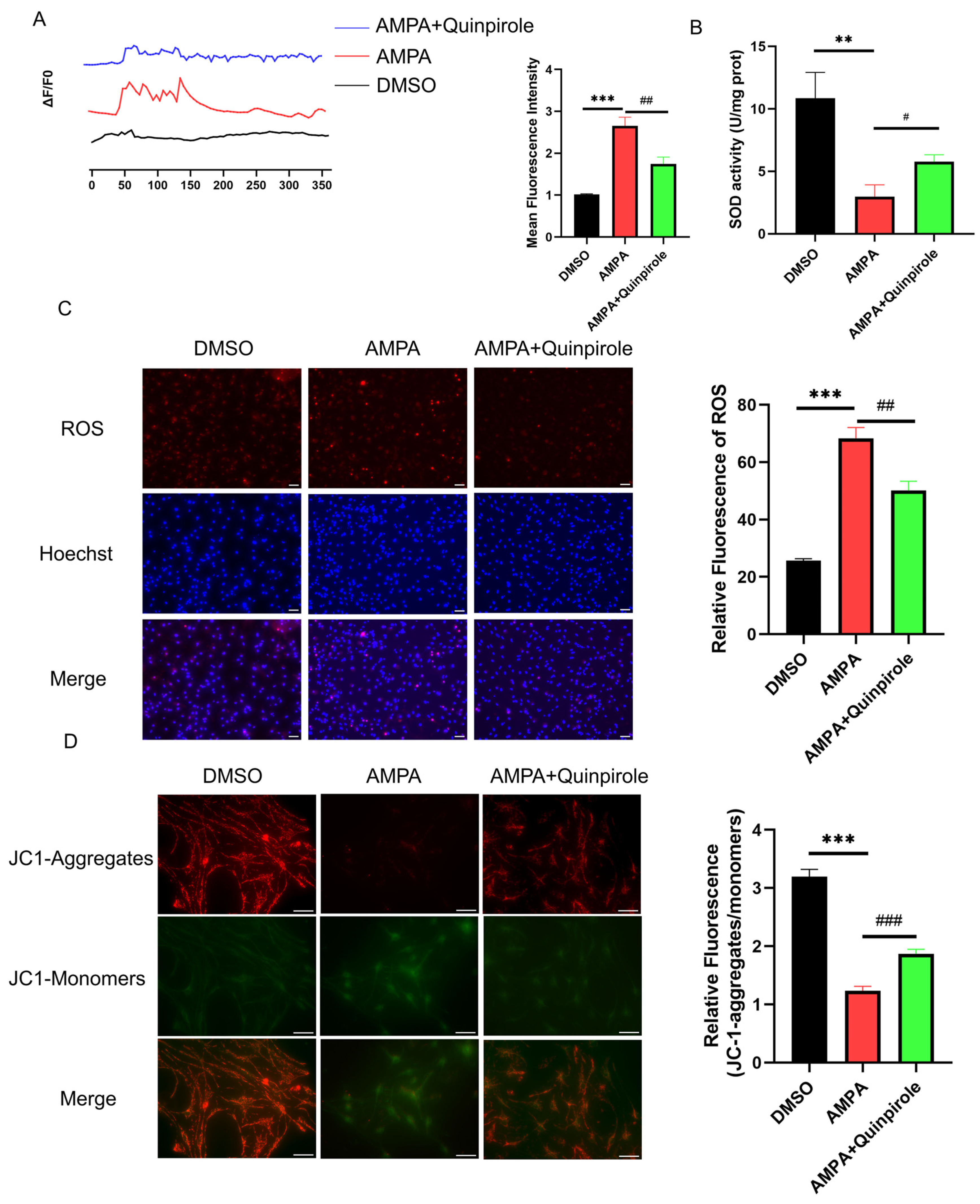 Antioxidants 13 00725 g007