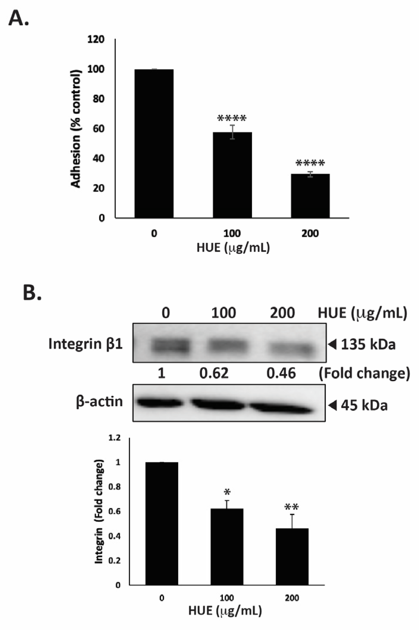 Antioxidants 13 00726 g008