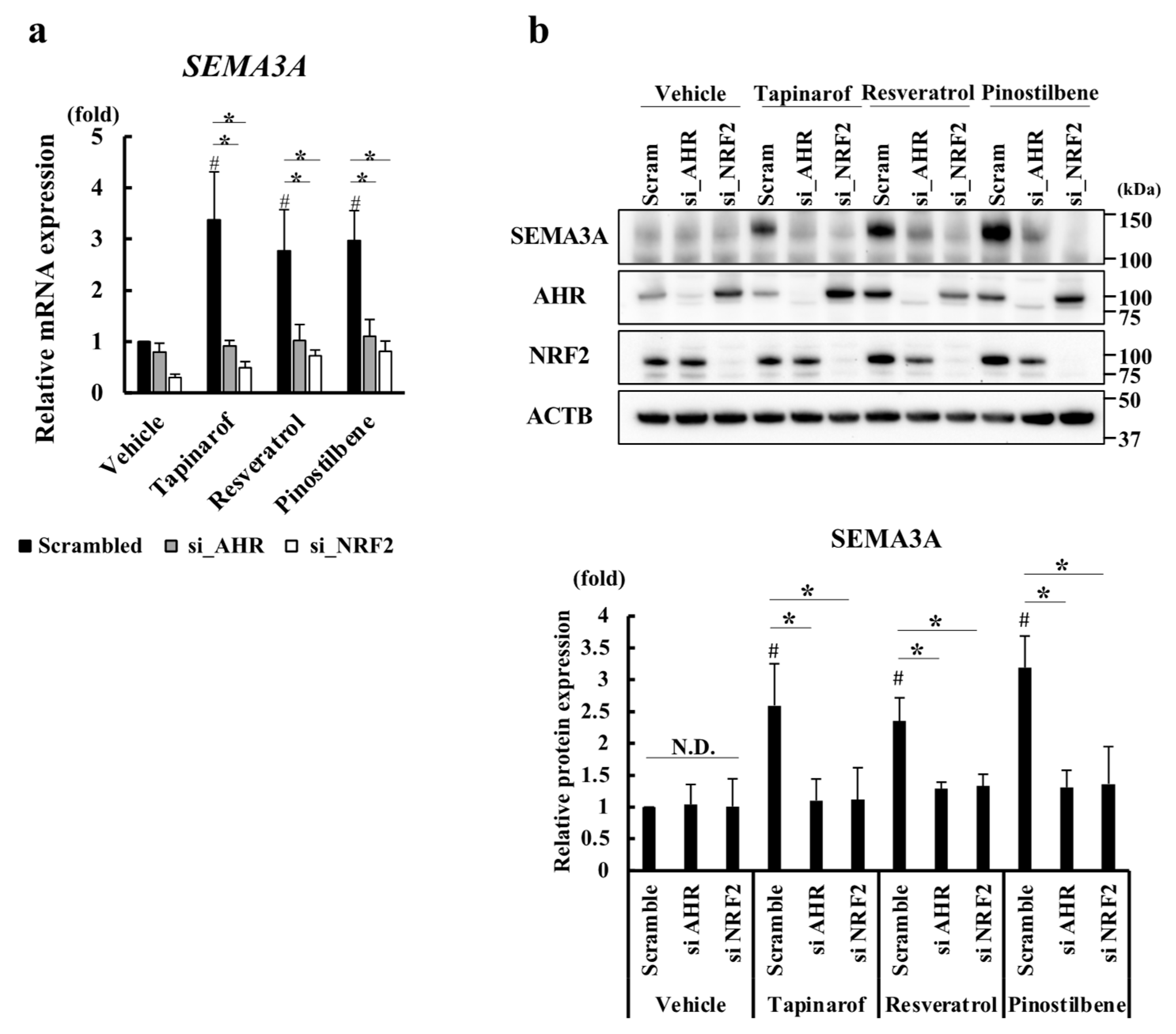 Antioxidants 13 00732 g003