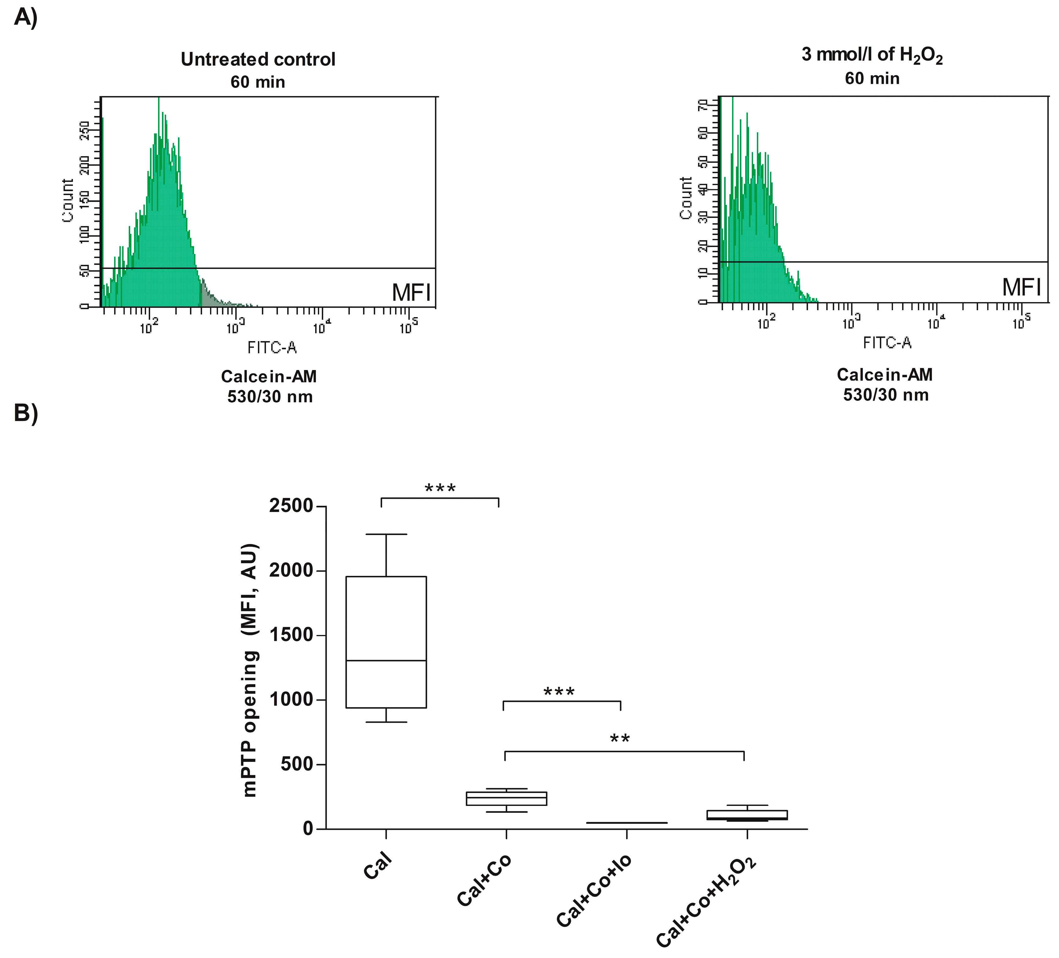 Antioxidants 13 00739 g002
