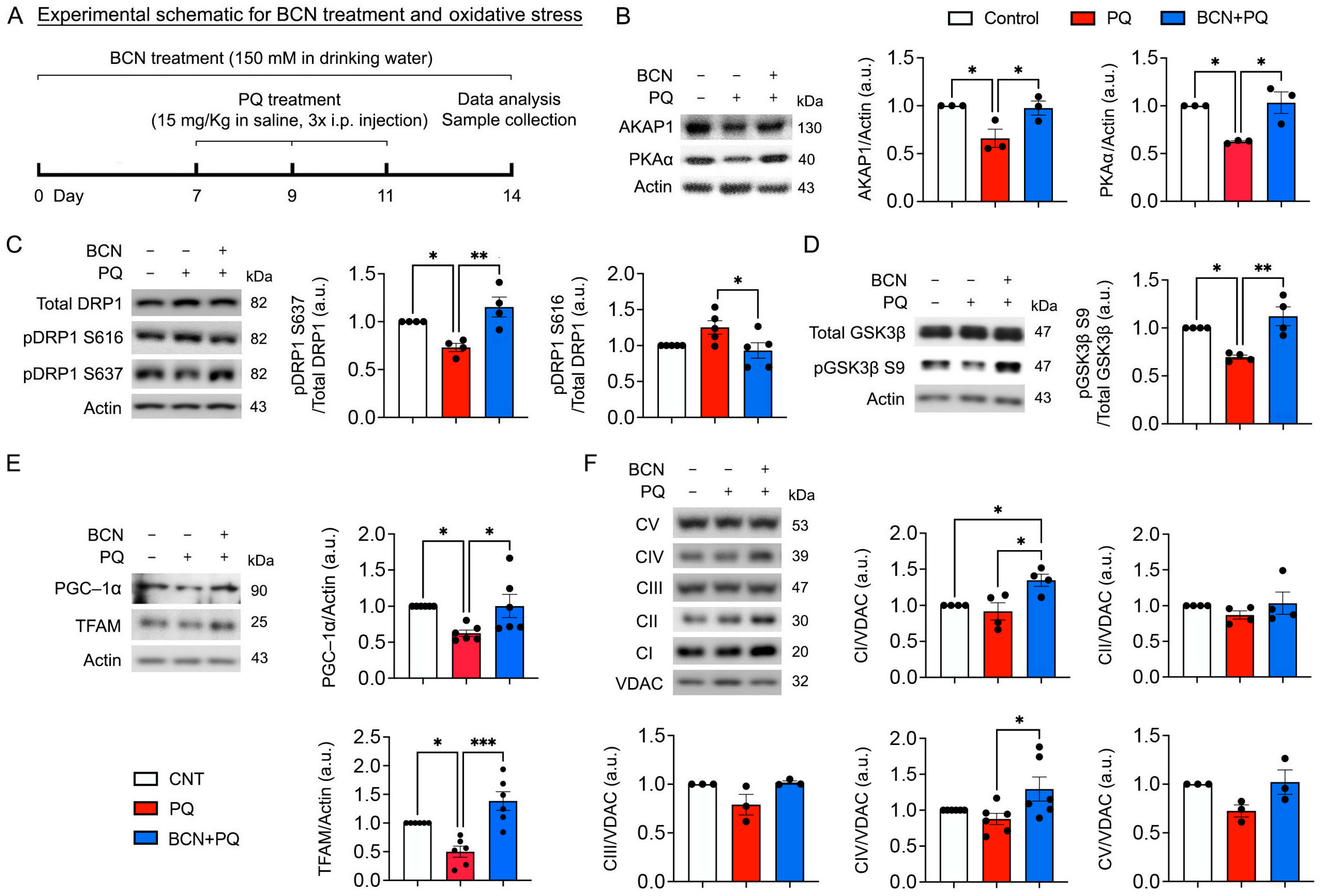 Antioxidants 13 00743 g004 Antioxidants 13 00743 g004