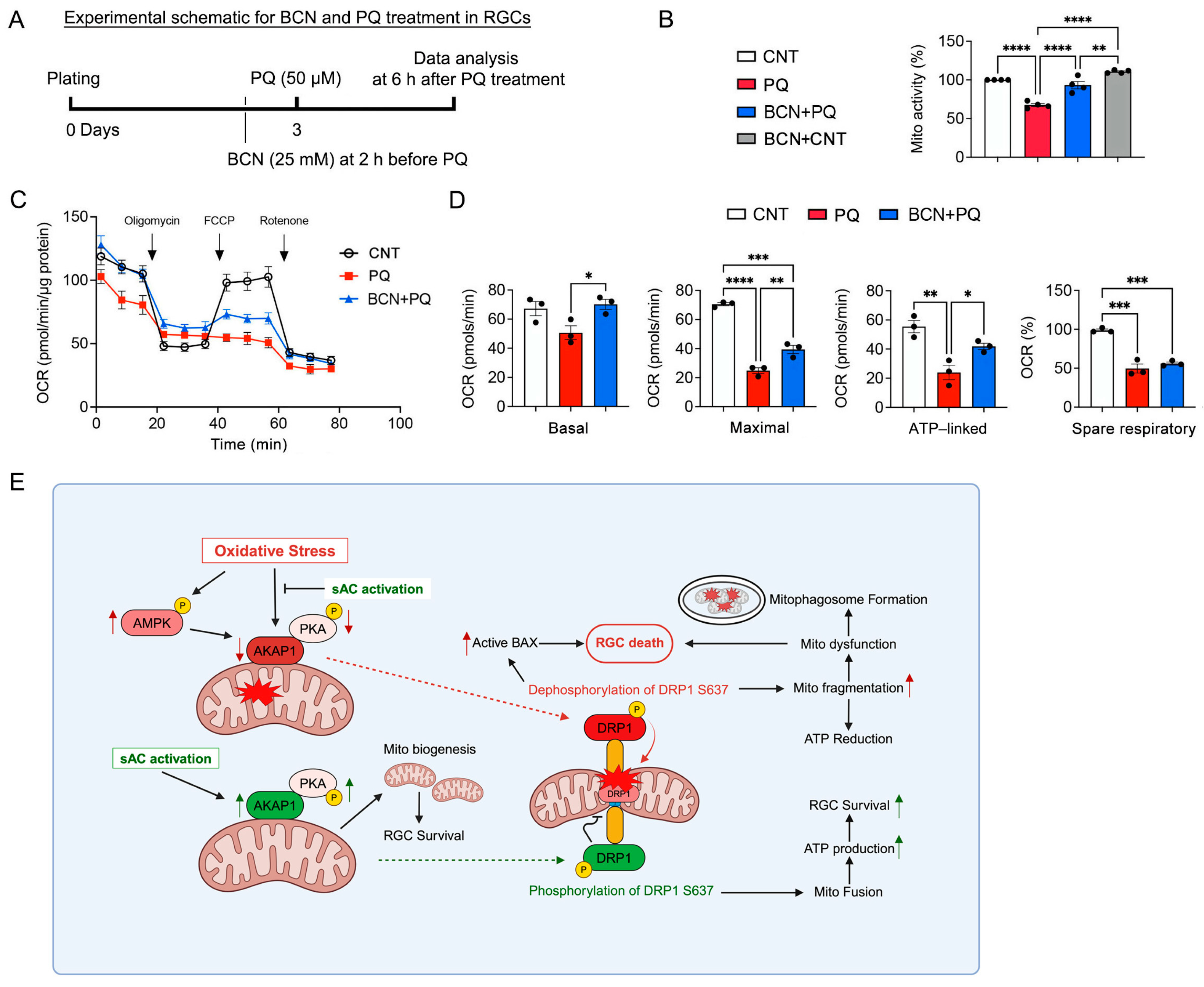 Antioxidants 13 00743 g008 Antioxidants 13 00743 g008