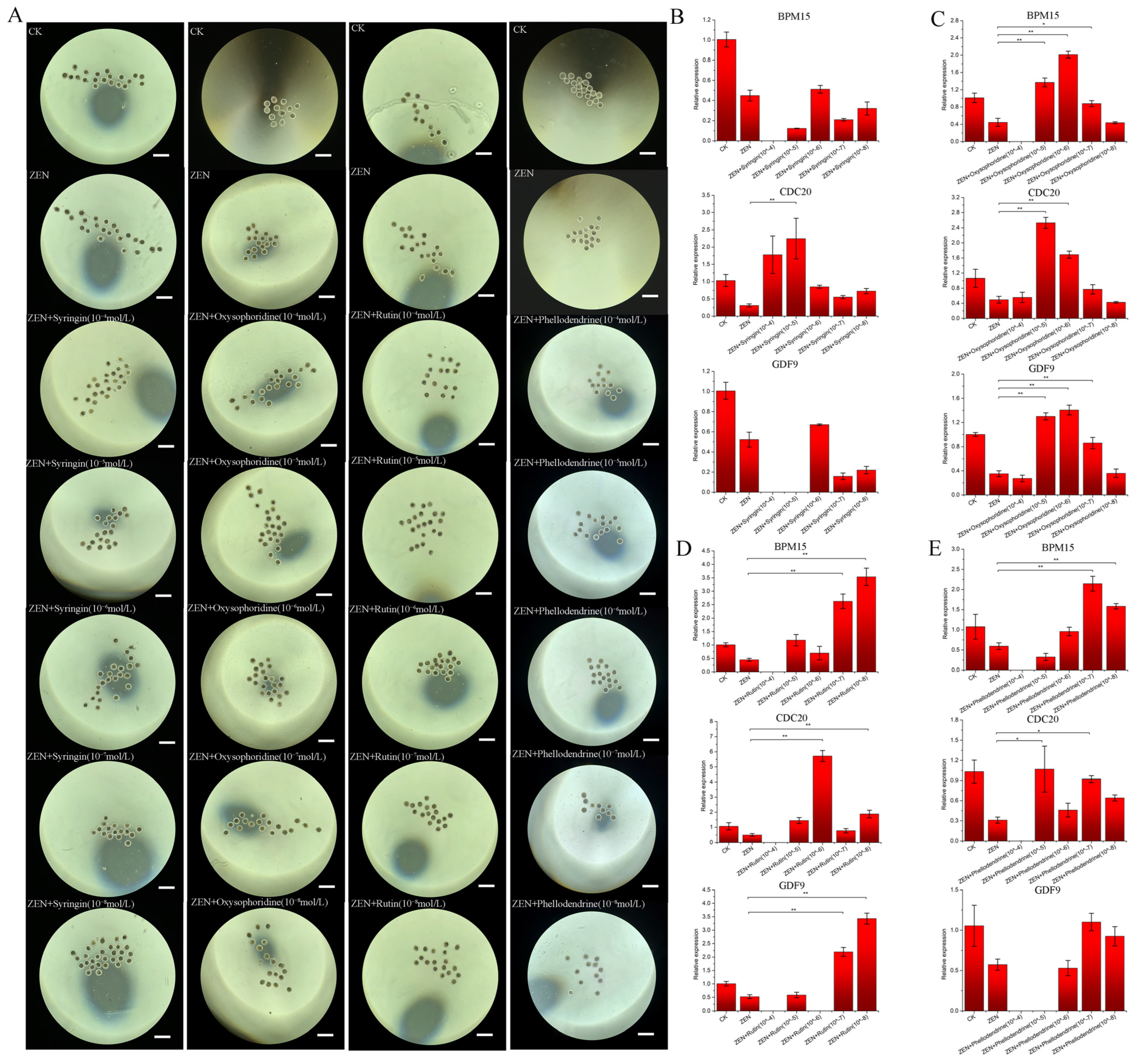 Antioxidants 13 00752 g002