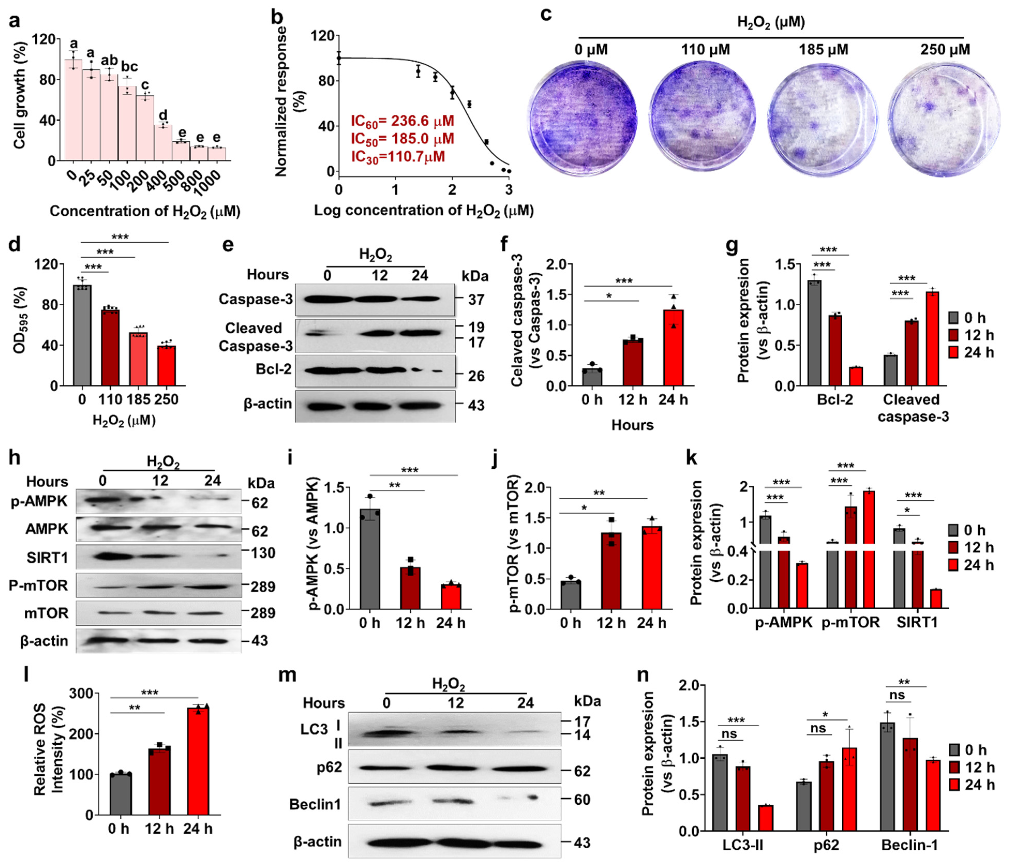 Antioxidants 13 00759 g001