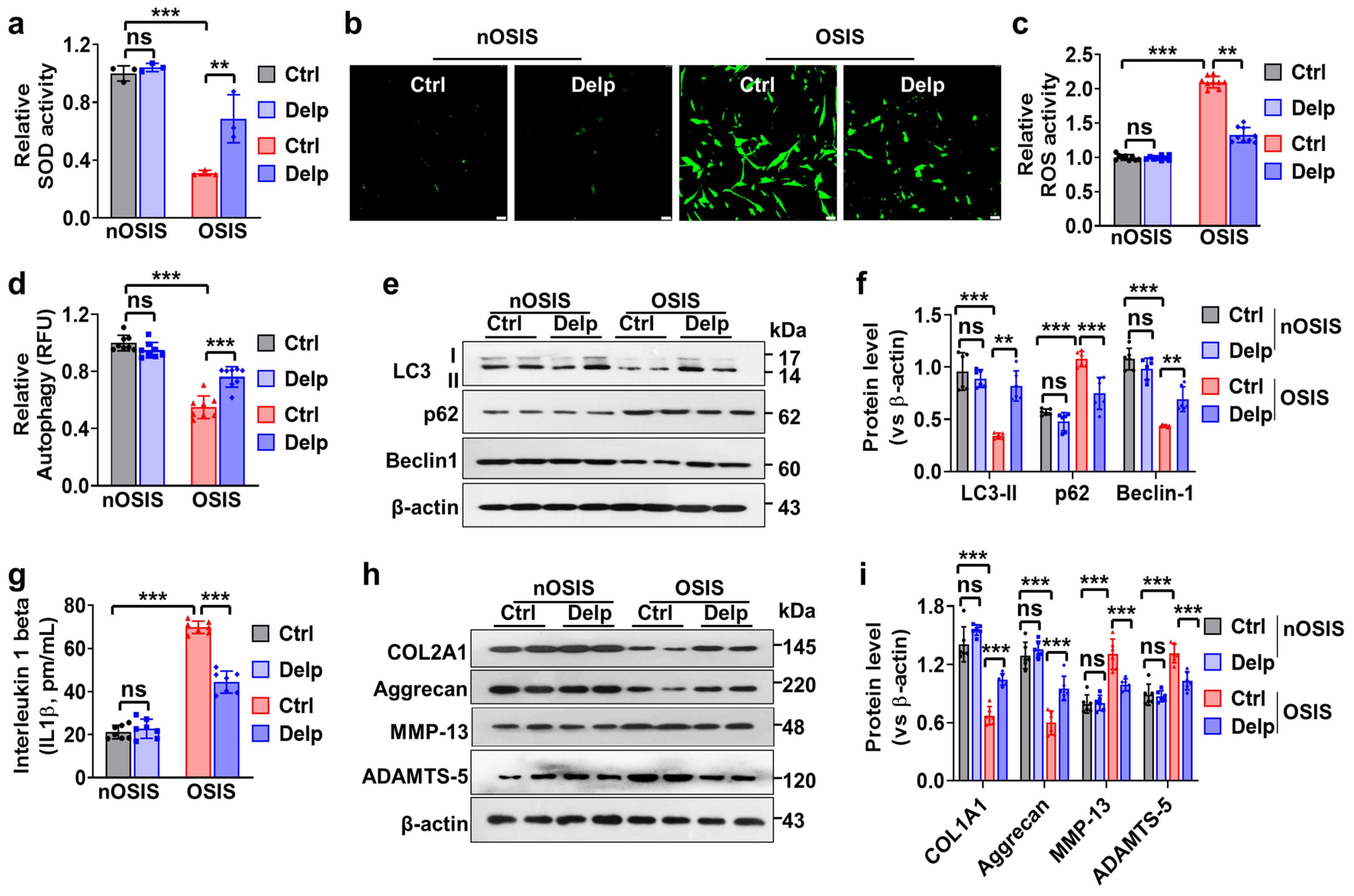 Antioxidants 13 00759 g004