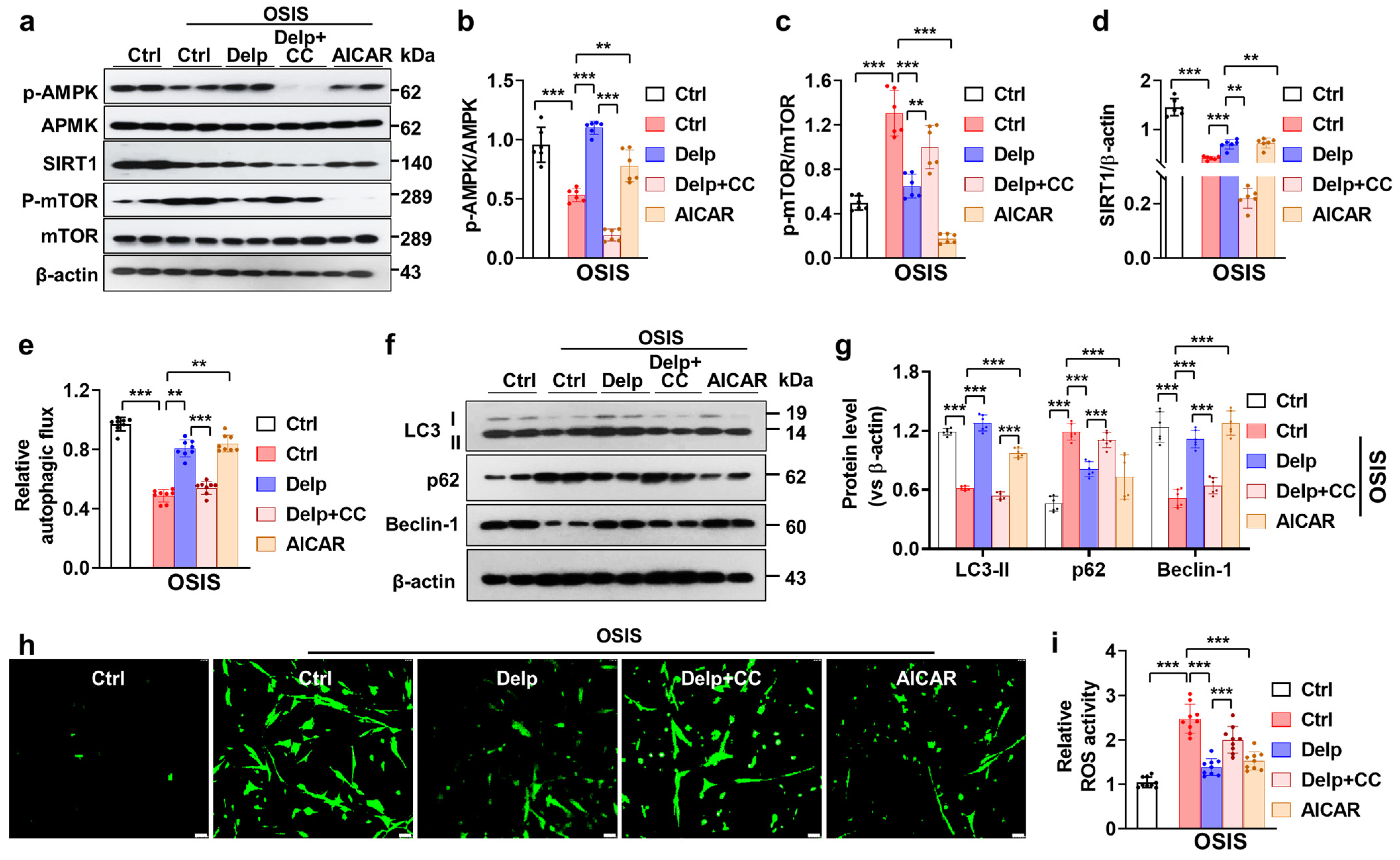 Antioxidants 13 00759 g006a