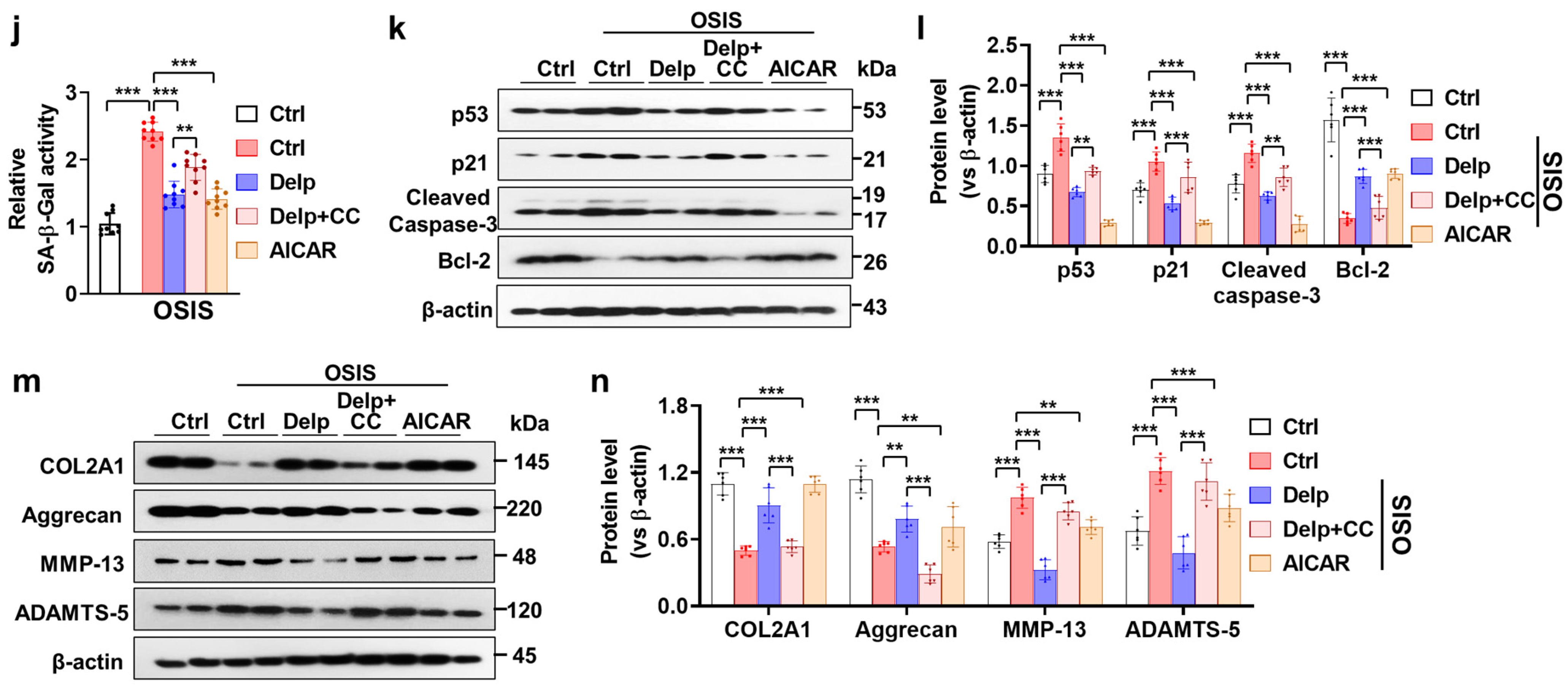 Antioxidants 13 00759 g006b