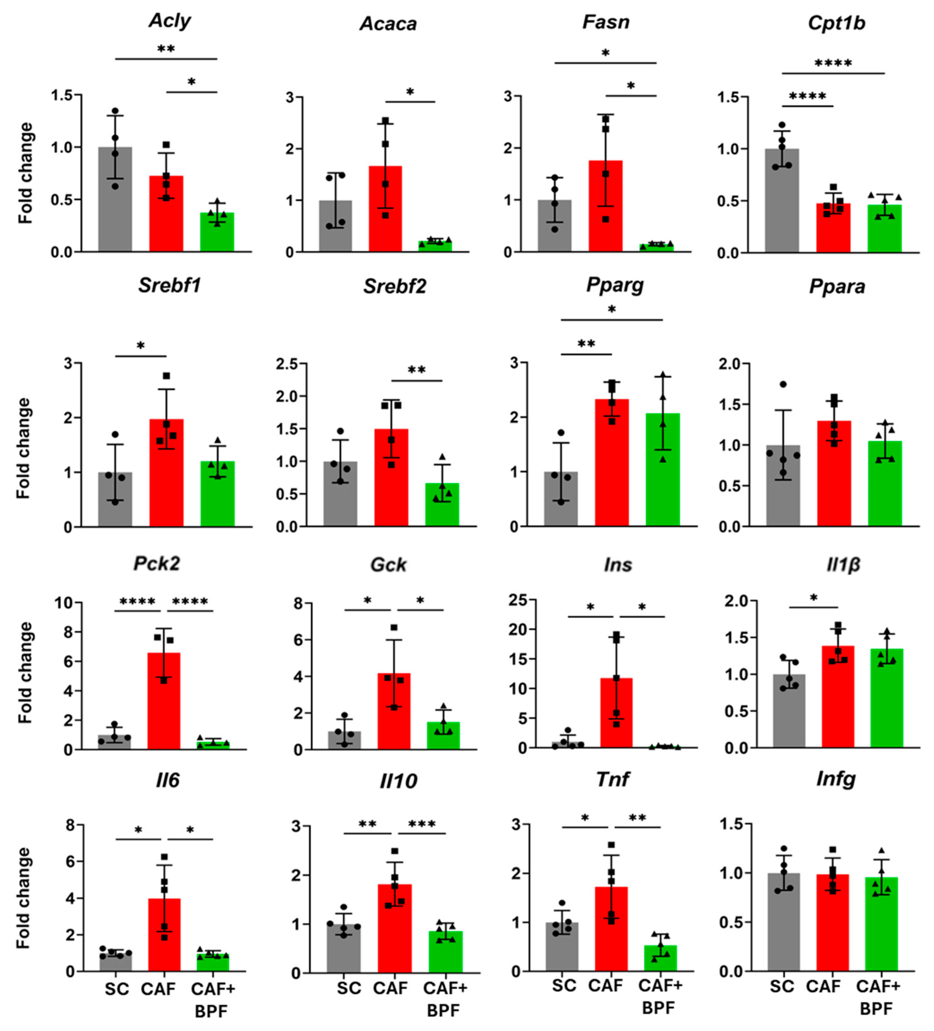 Antioxidants 13 00766 g007