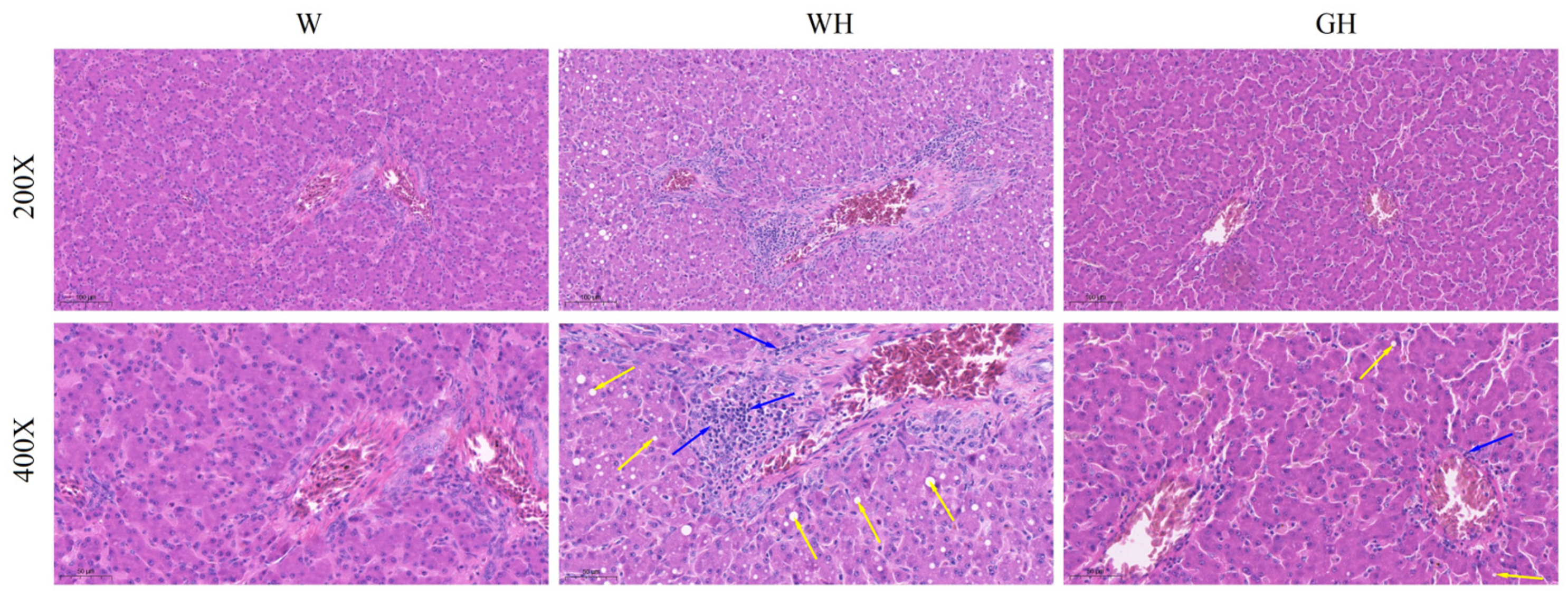 Antioxidants 13 00772 g002