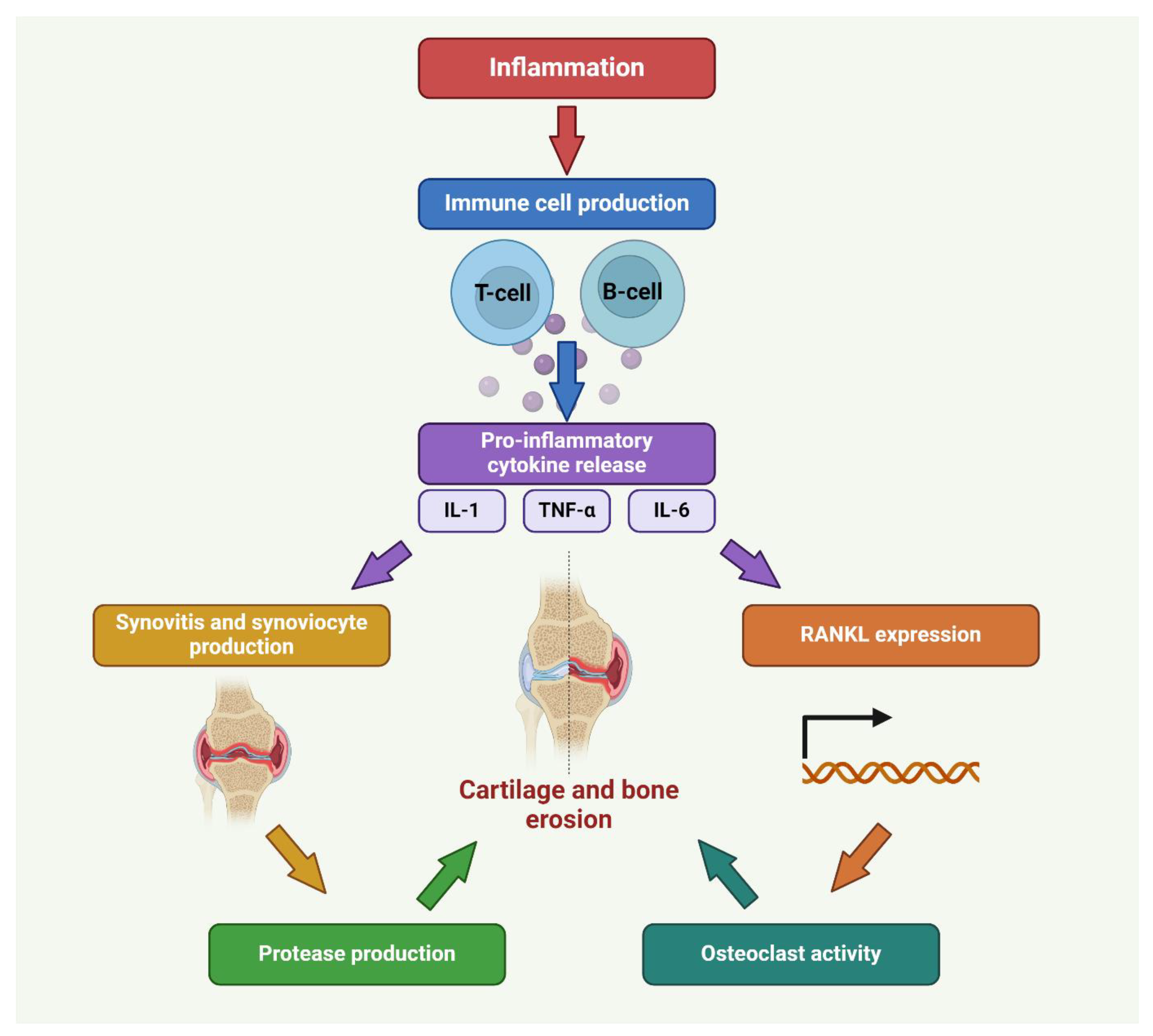 Antioxidants 13 00775 g002