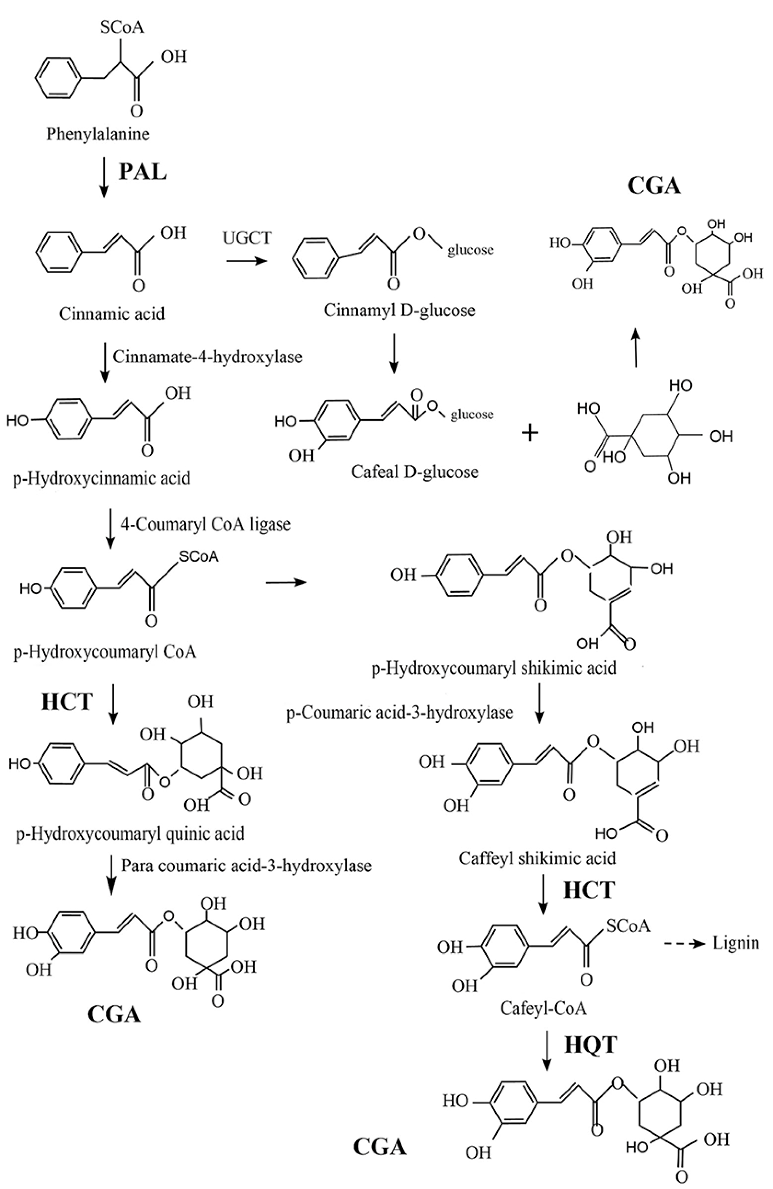 Antioxidants 13 00777 g001