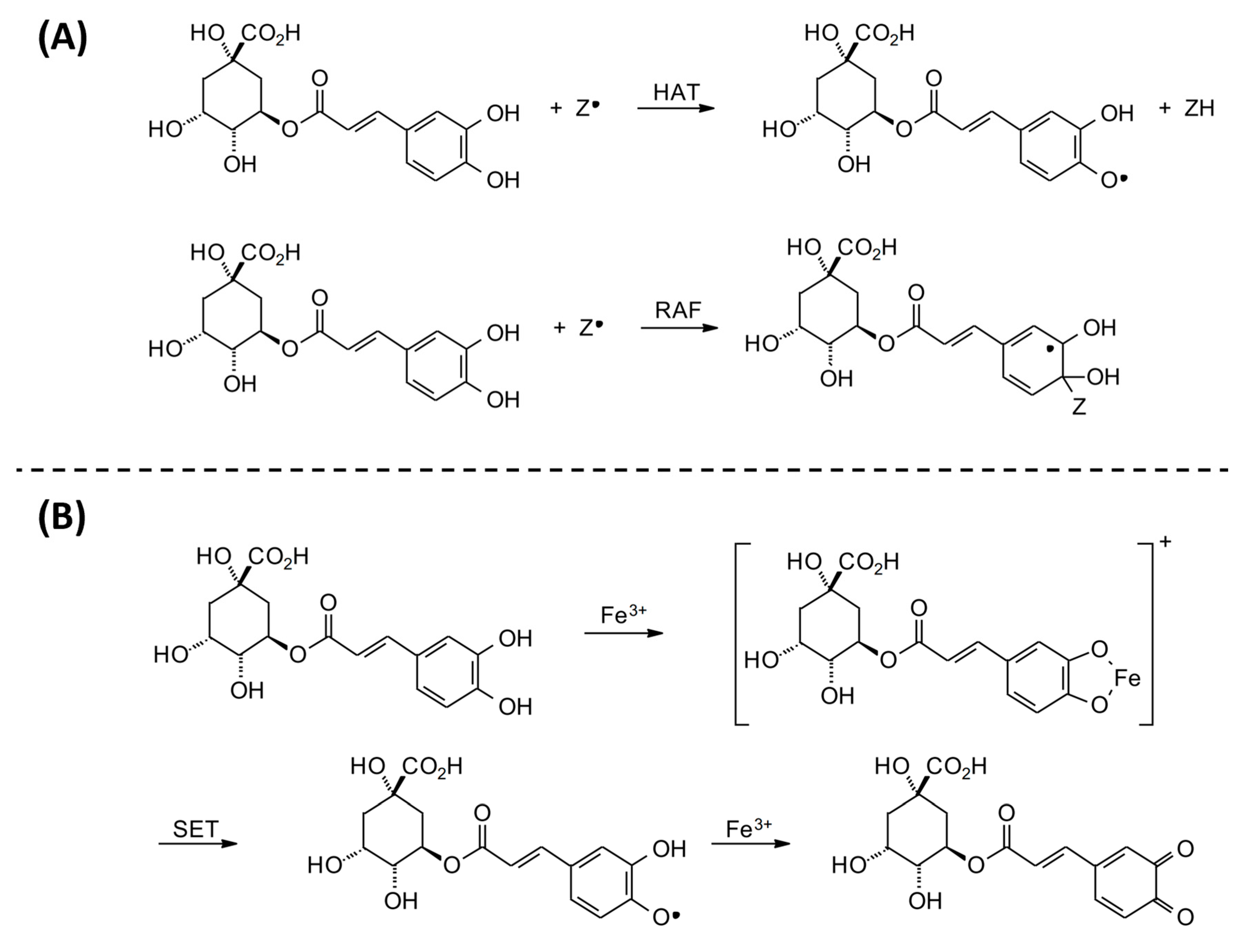 Antioxidants 13 00777 g003