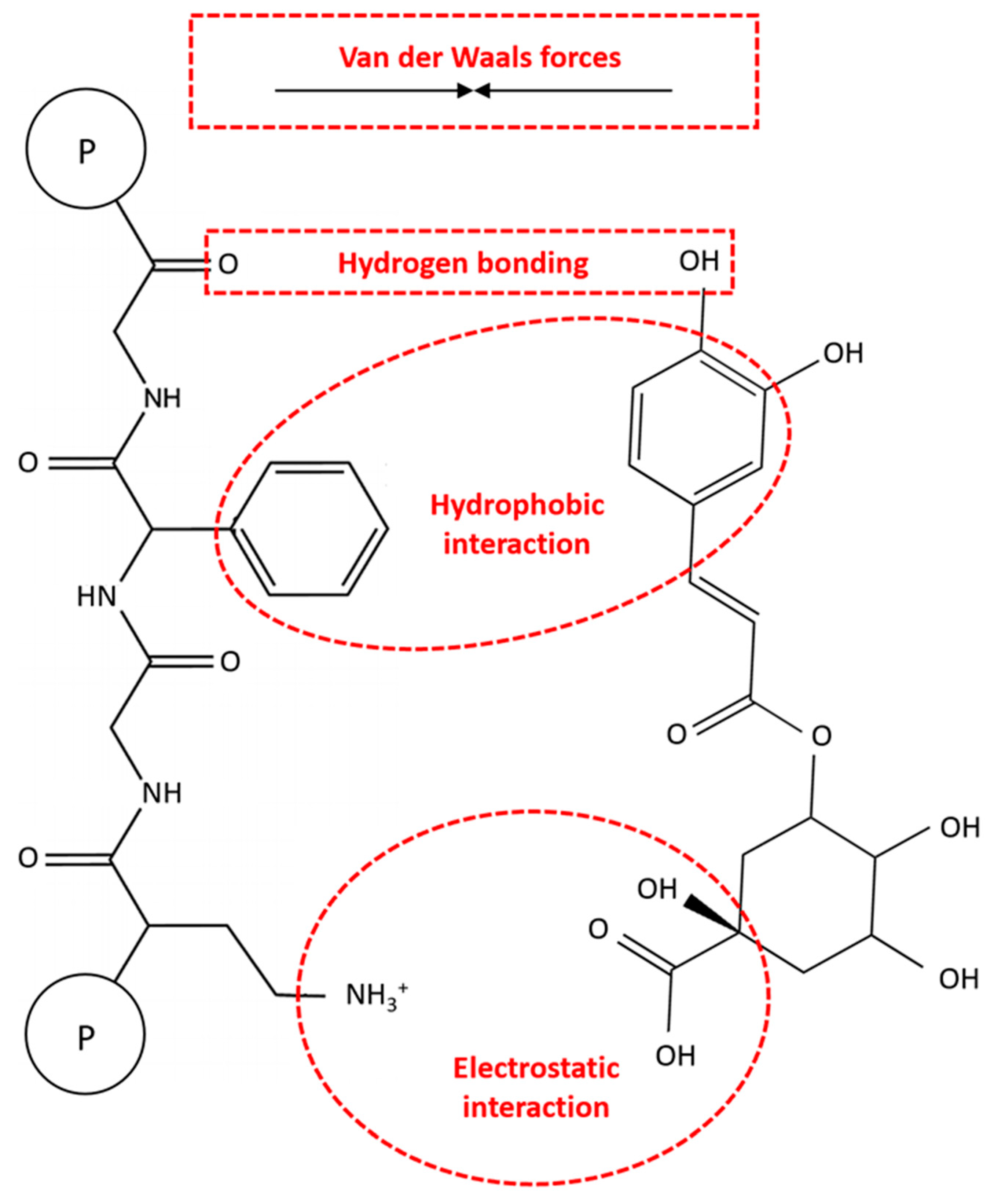 Antioxidants 13 00777 g005