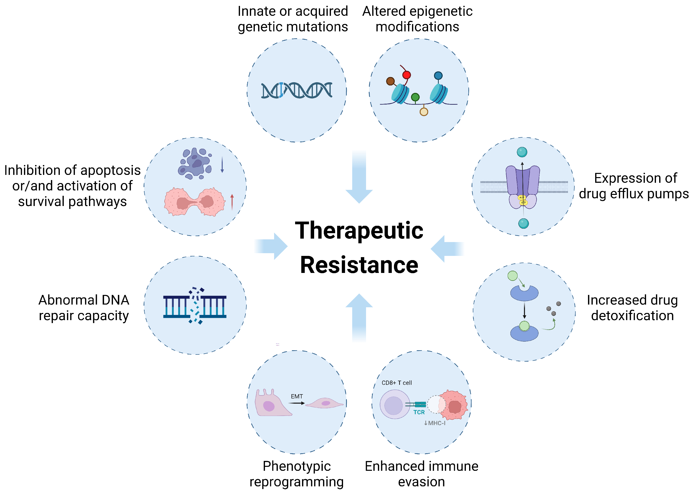 Antioxidants 13 00778 g002 Antioxidants 13 00778 g002