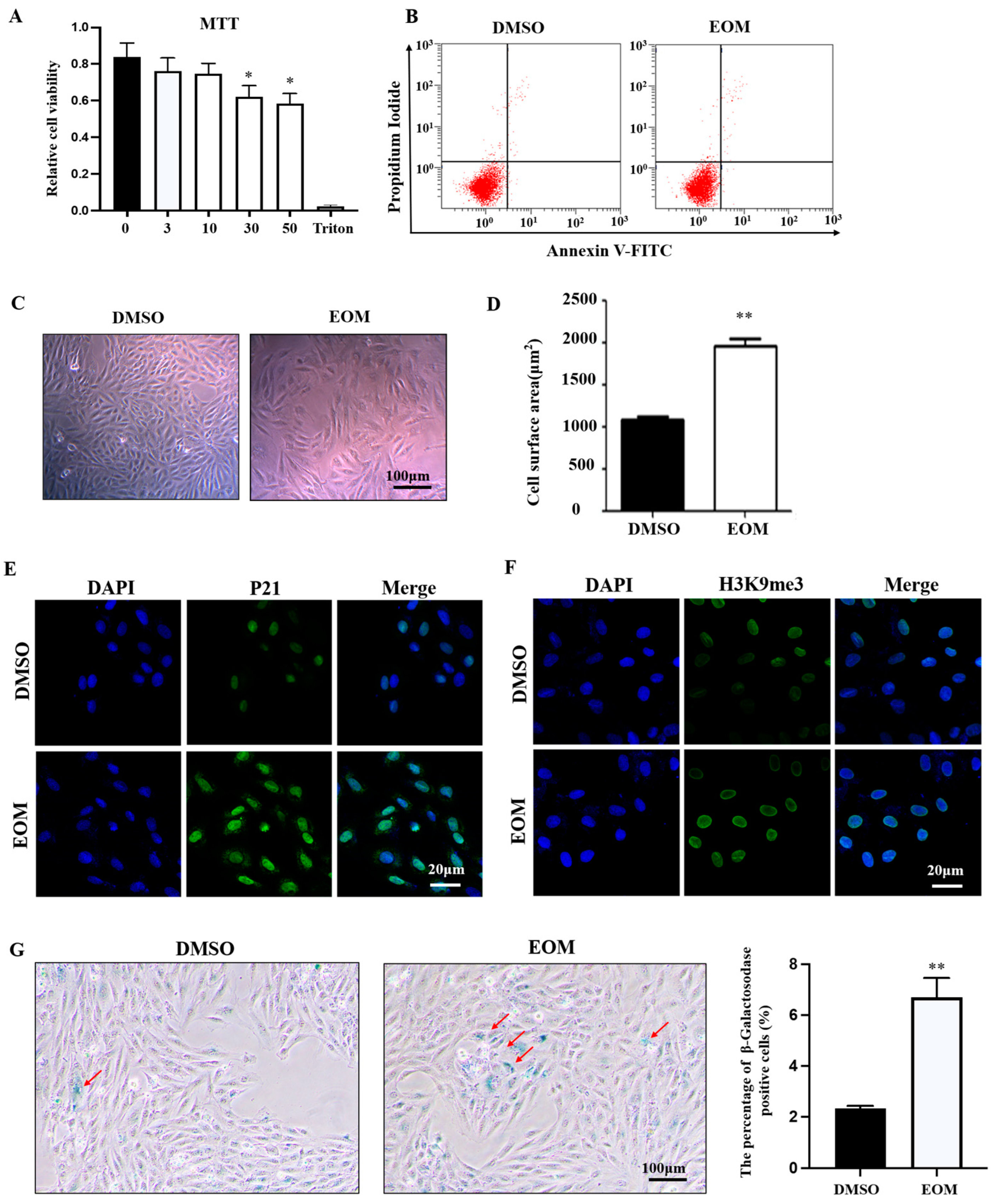 Antioxidants 13 00786 g001