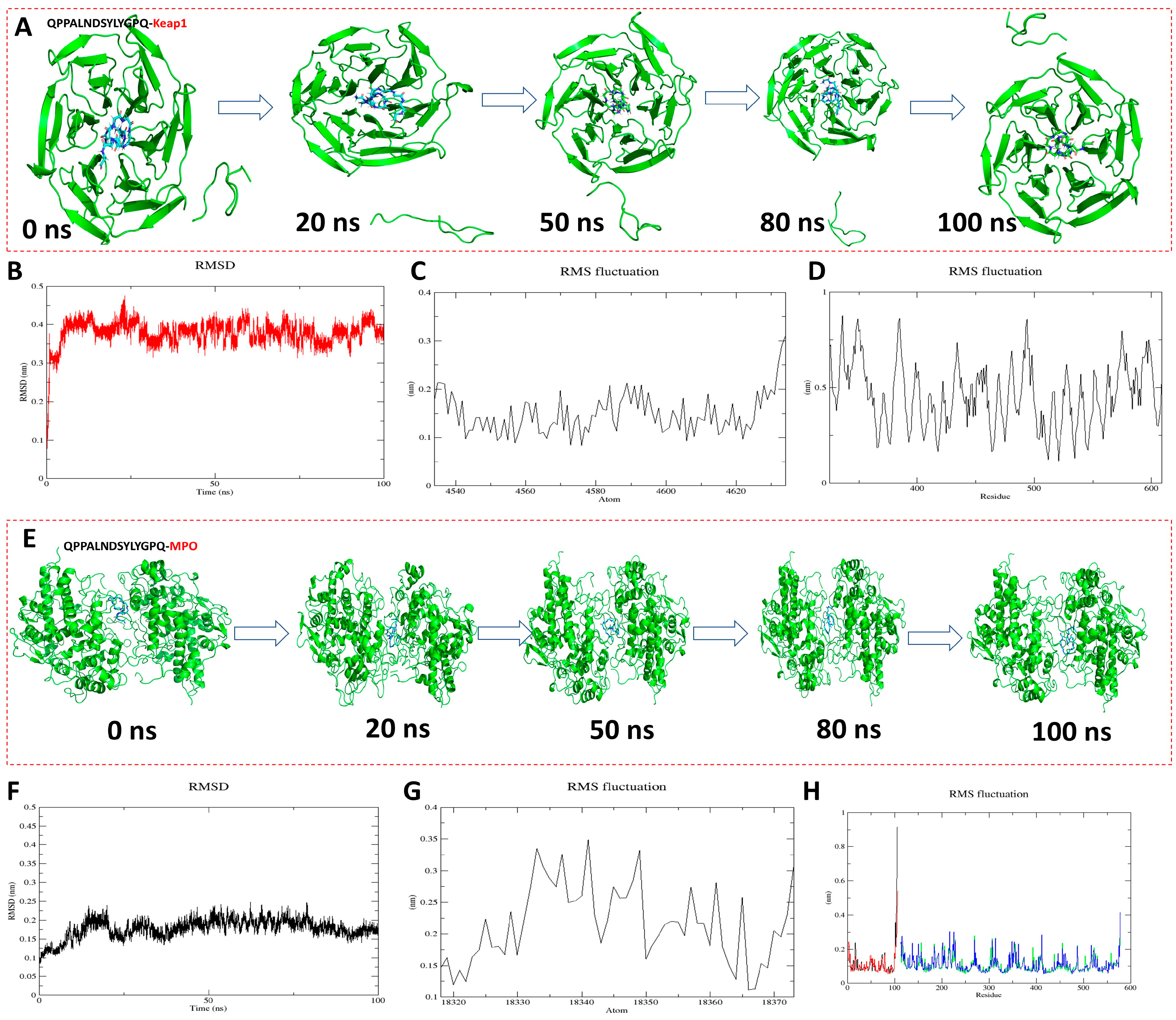 Antioxidants 13 00790 g005
