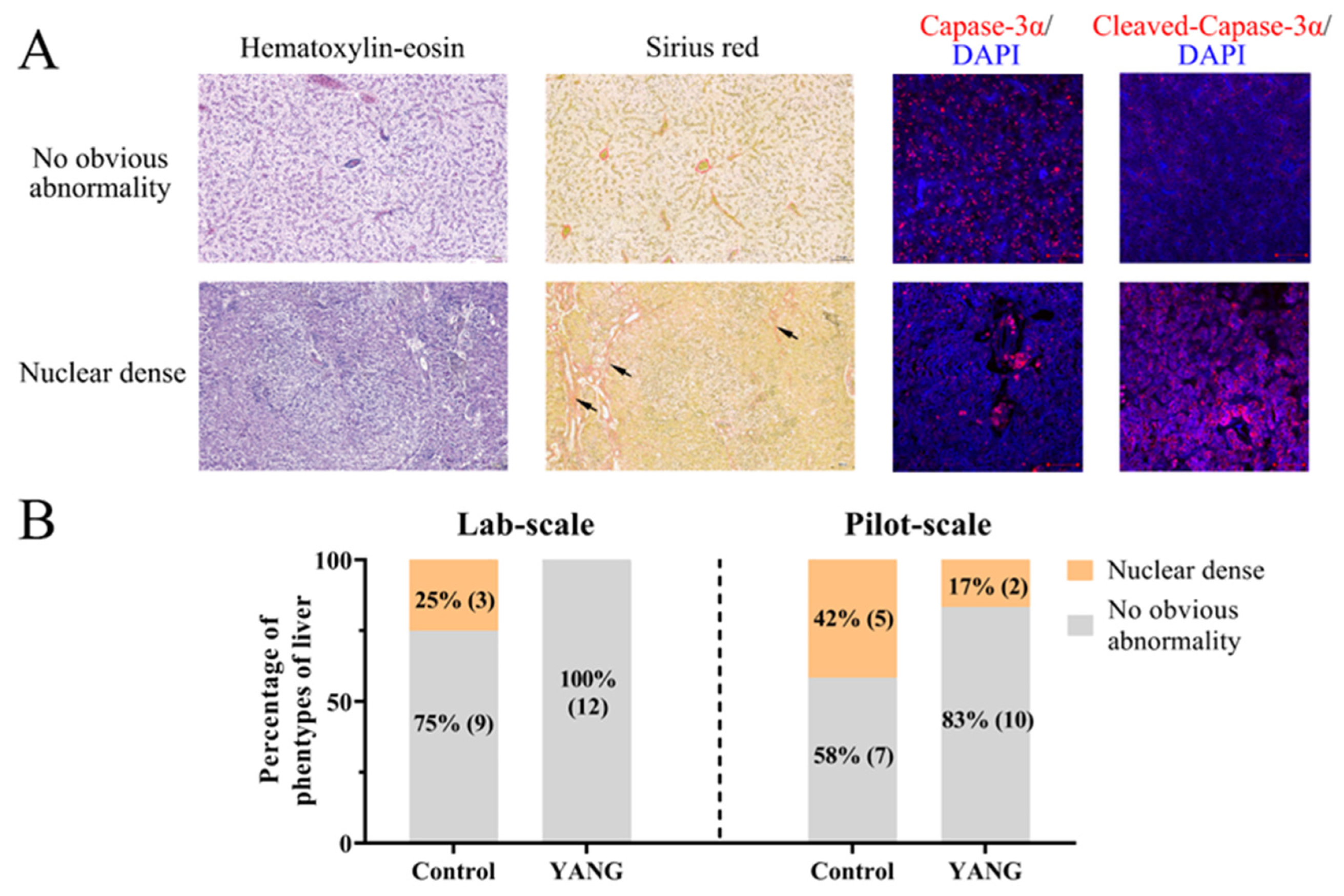 Antioxidants 13 00792 g001