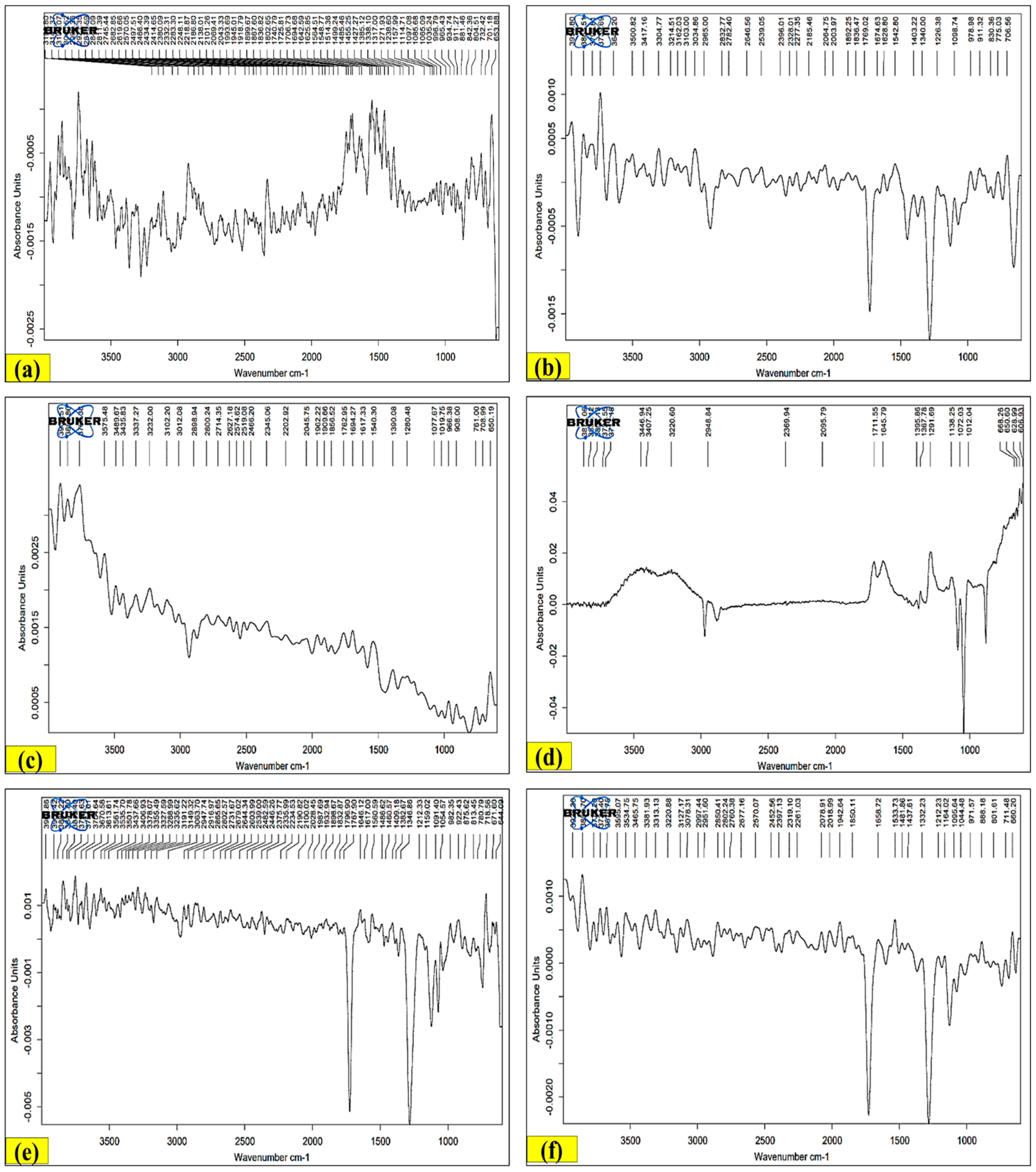 Antioxidants 13 00794 g006a